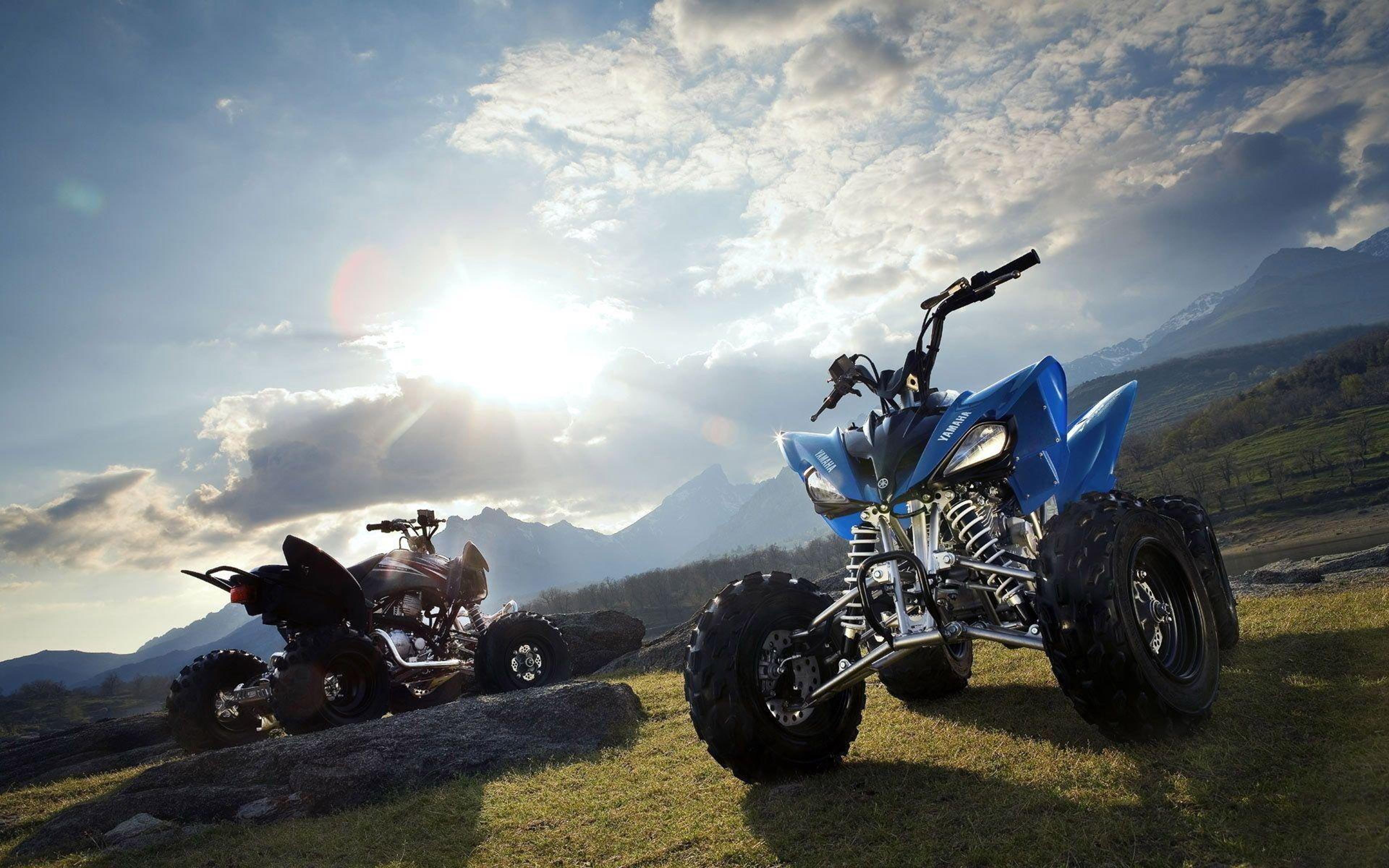 Shop cover image