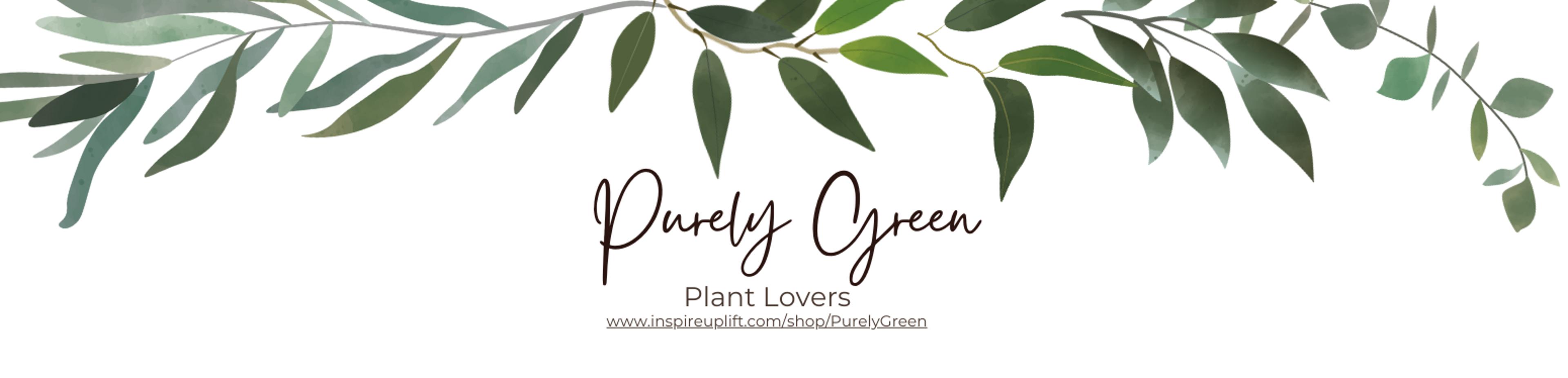 Shop cover image