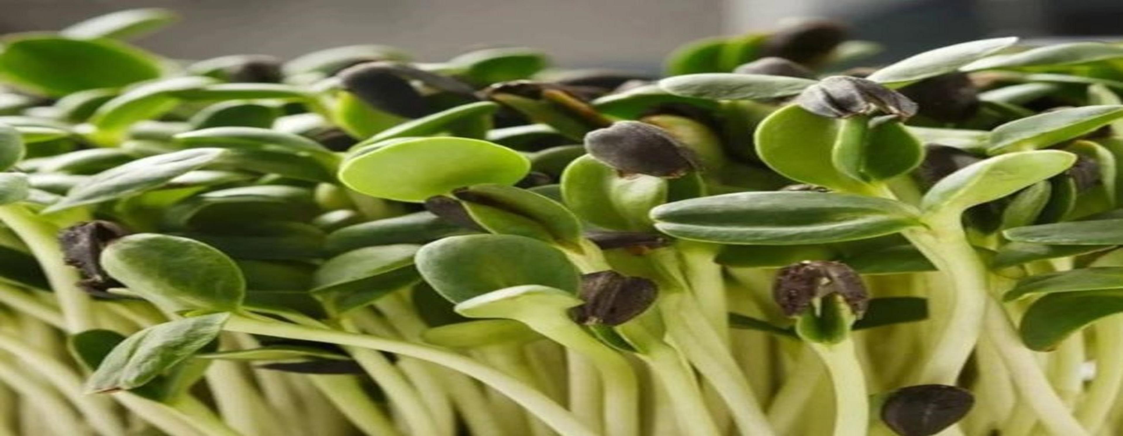 Shop cover image