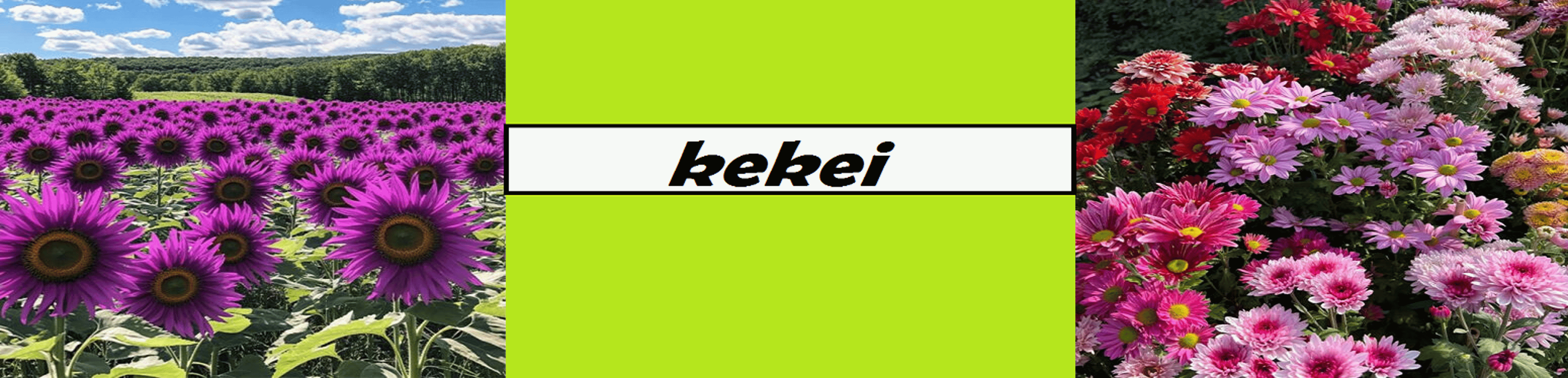 Shop cover image