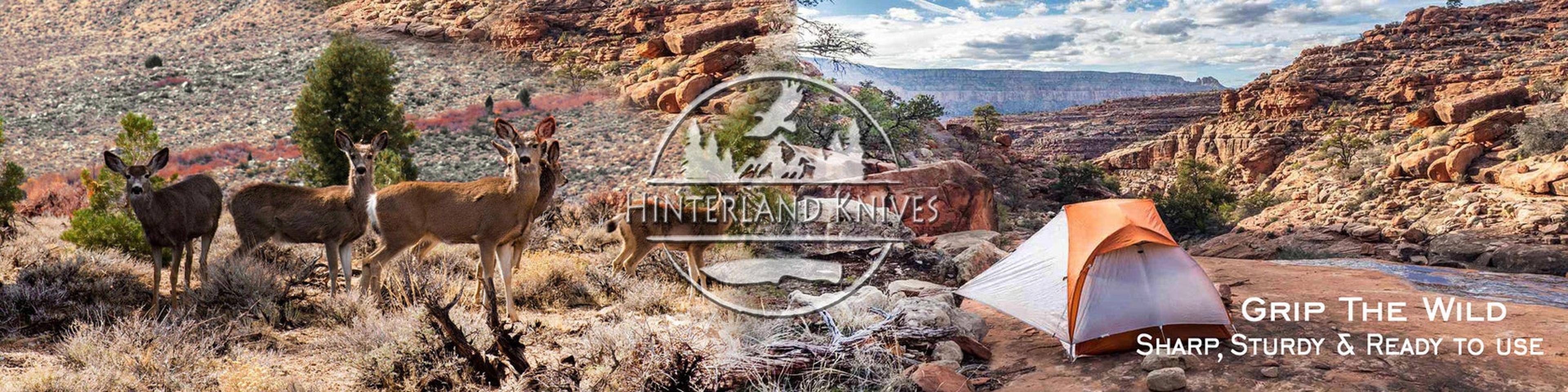 Shop cover image