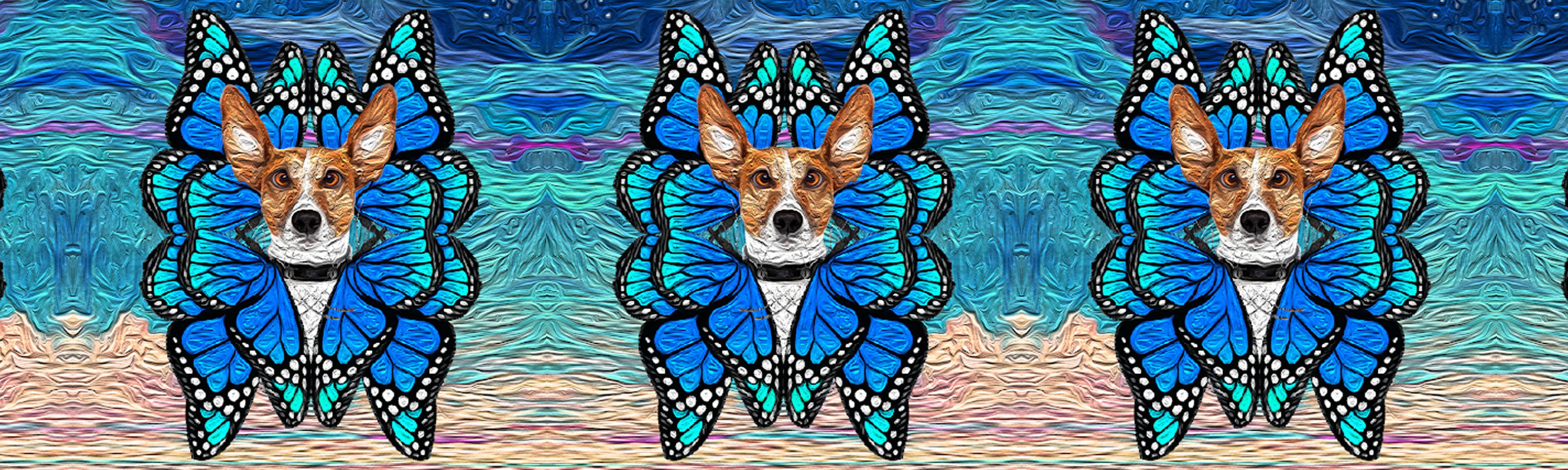 Shop cover image