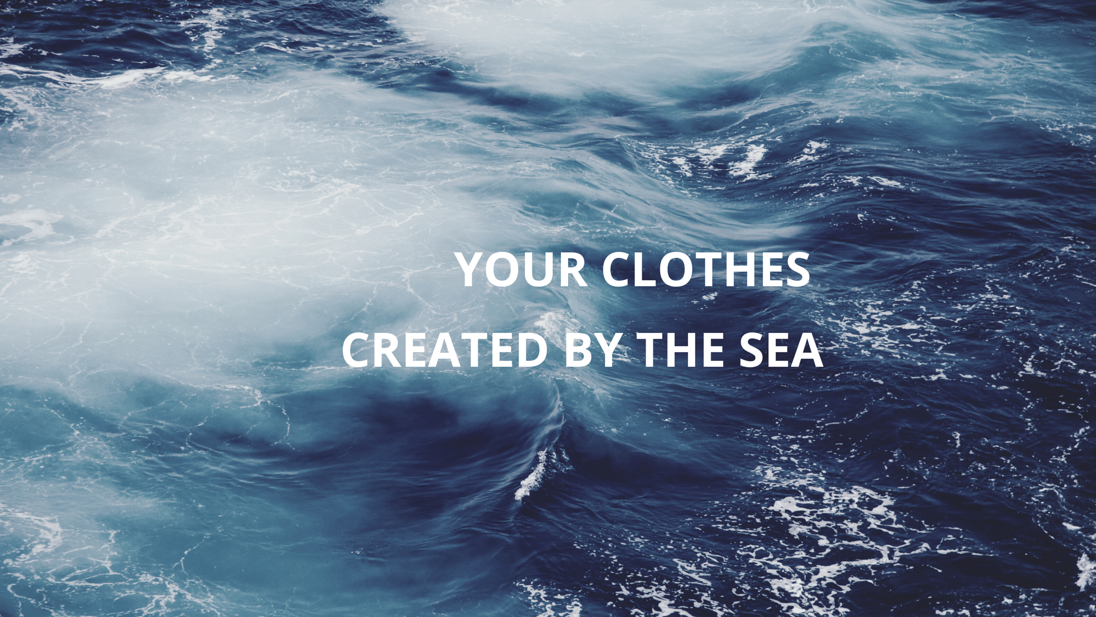 Shop cover image