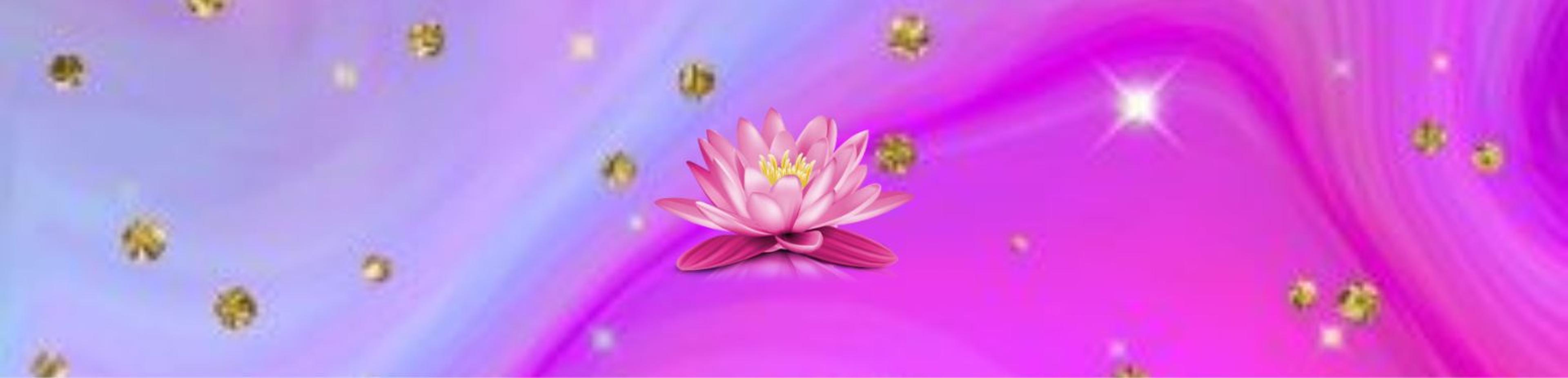 Shop cover image