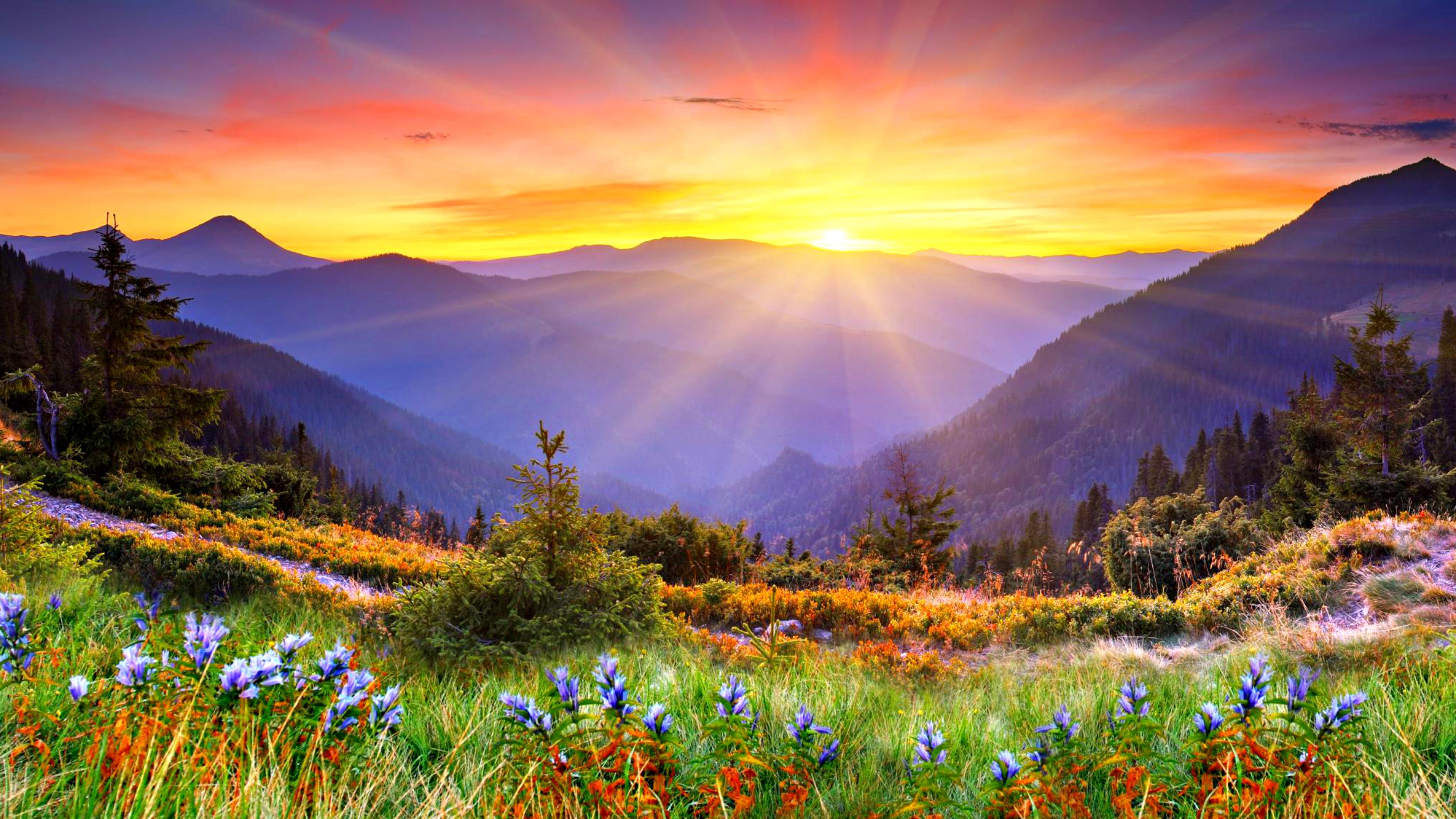 Shop cover image
