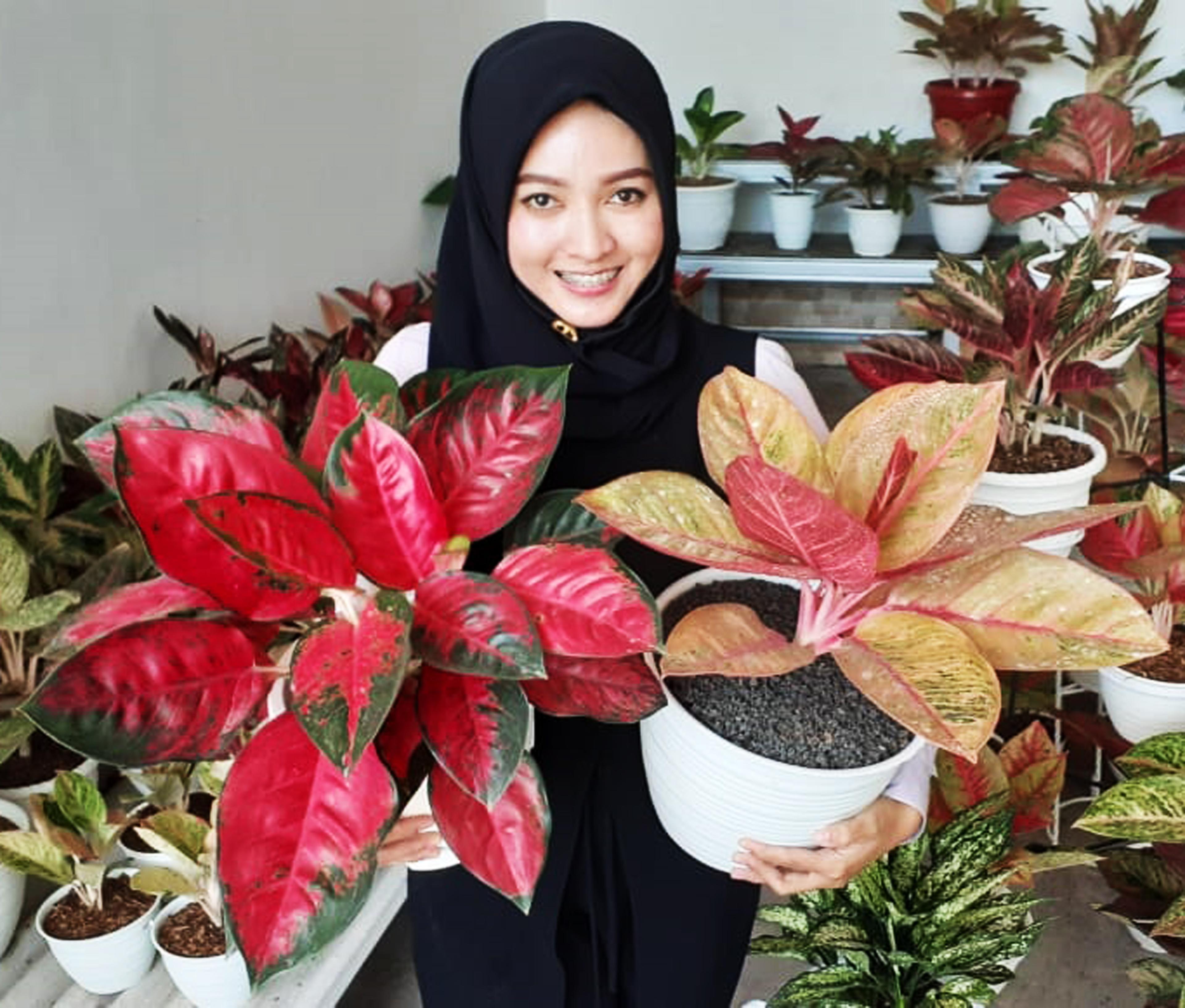 Seller profile