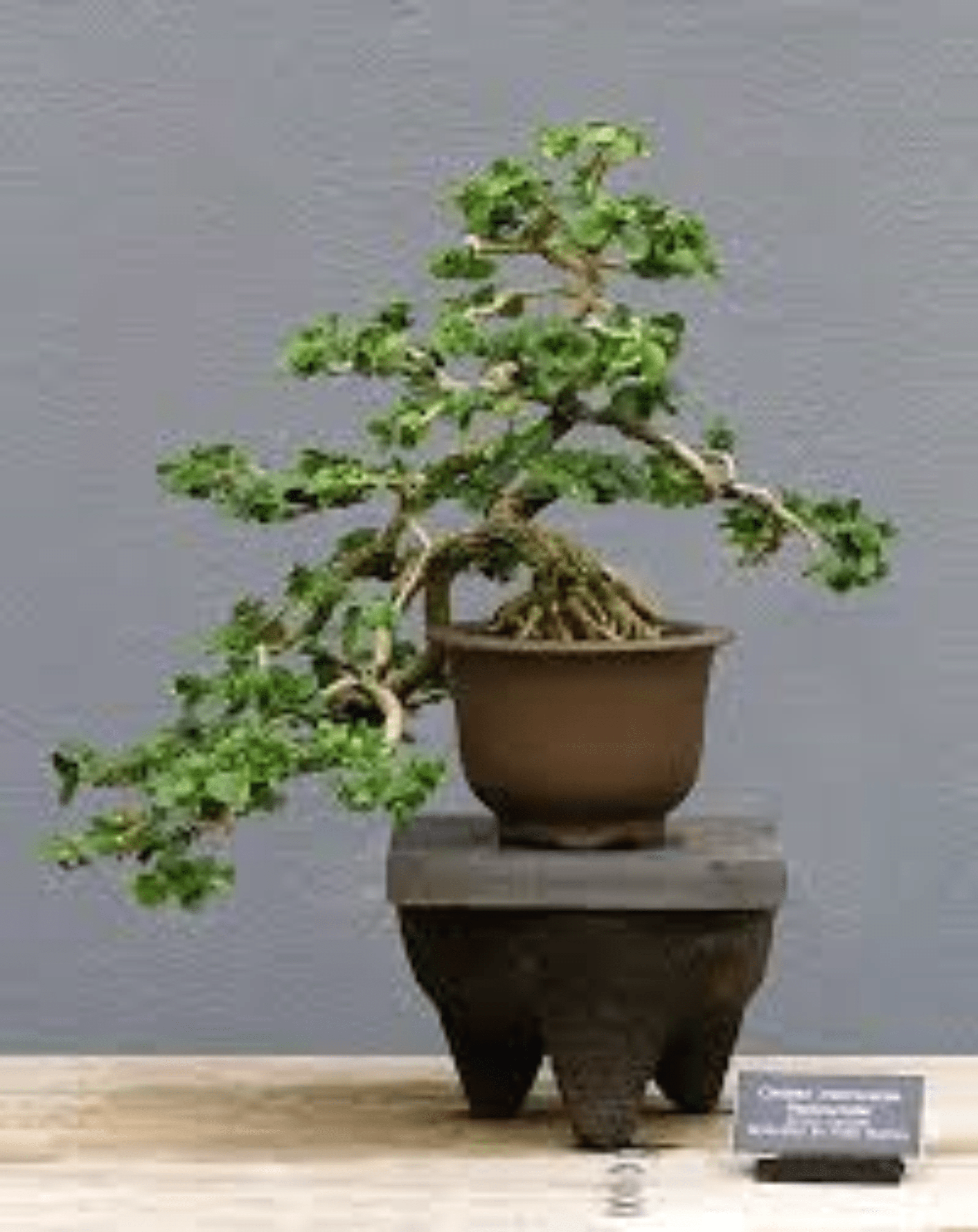 Seller profile