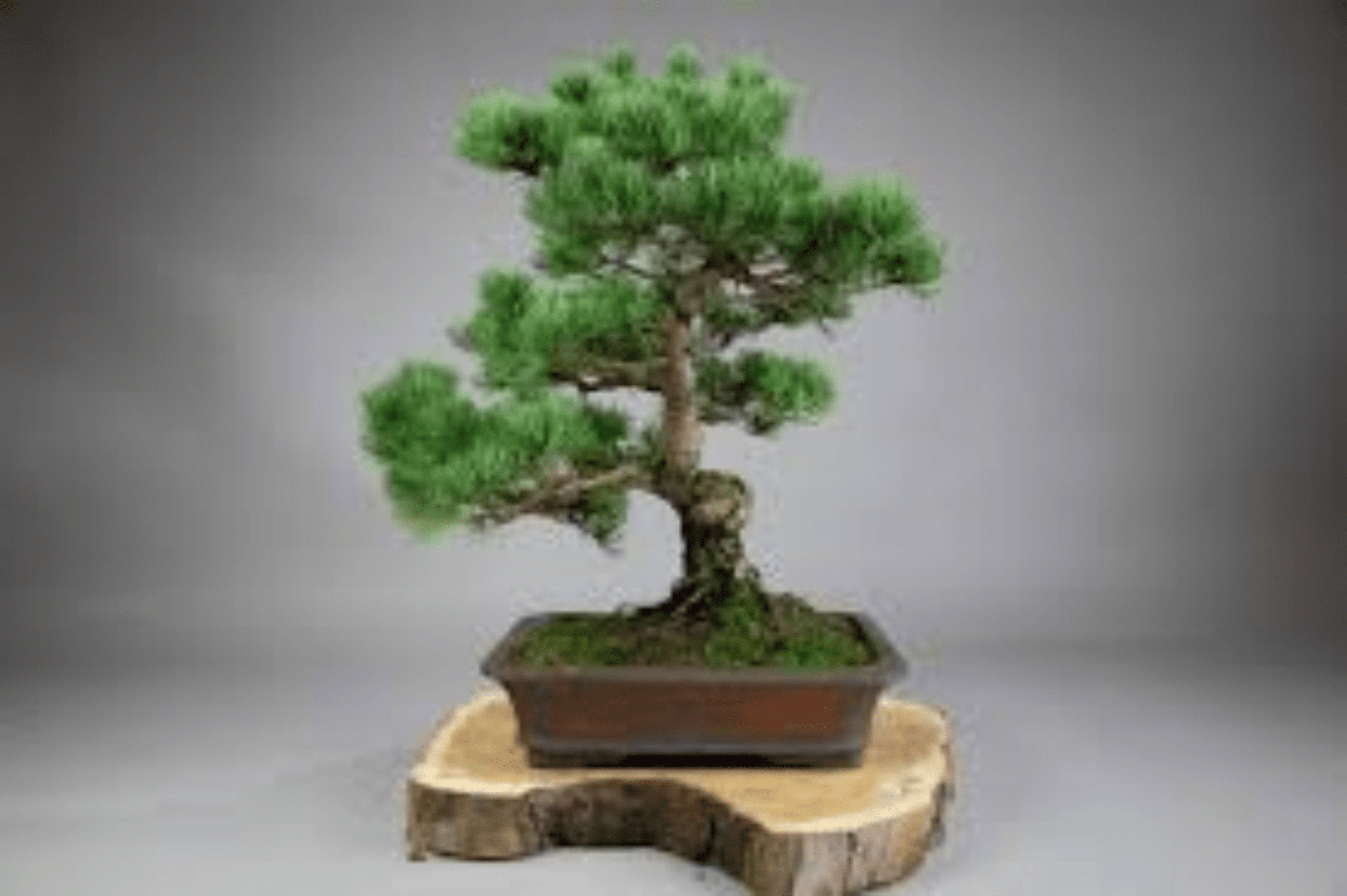 Seller profile