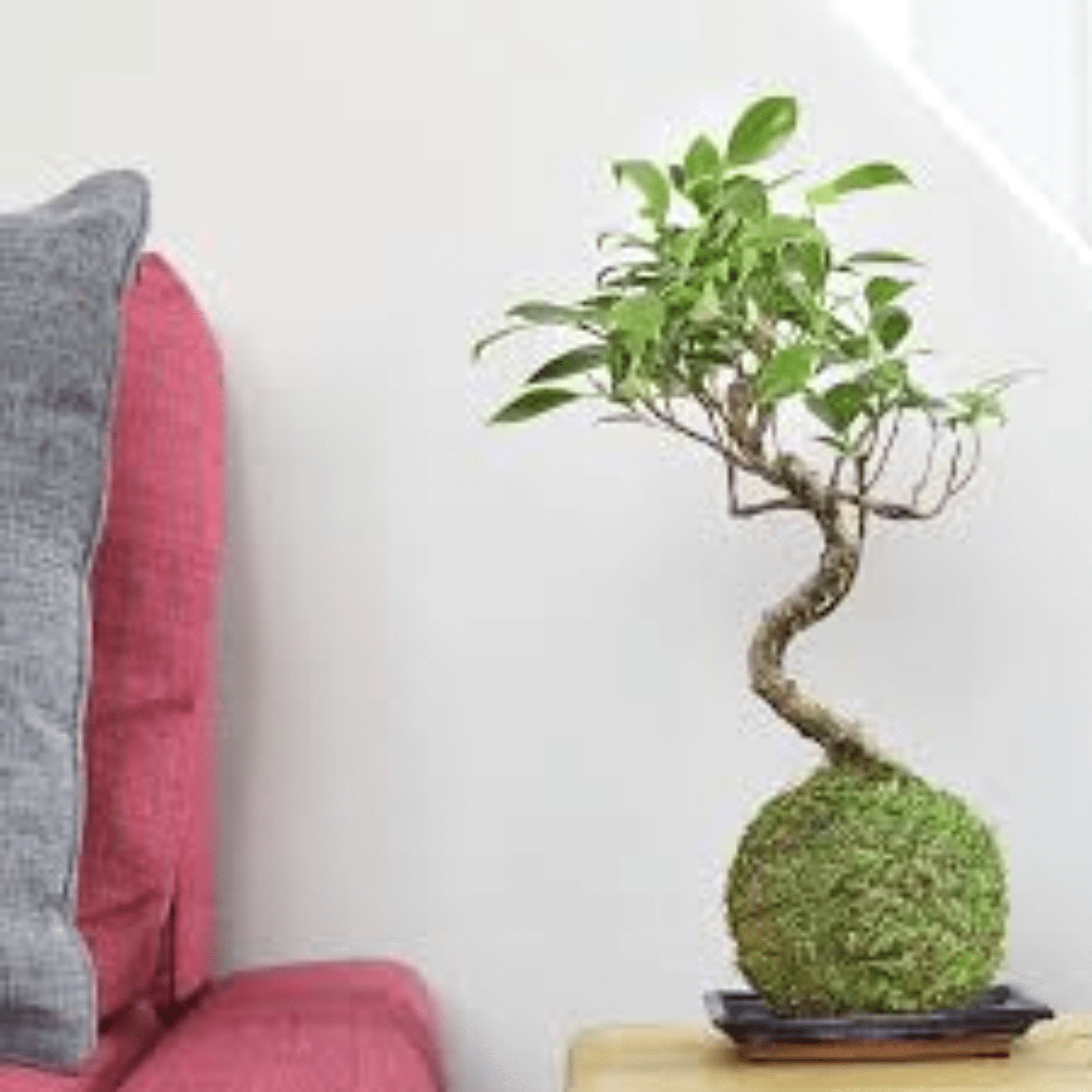 Seller profile