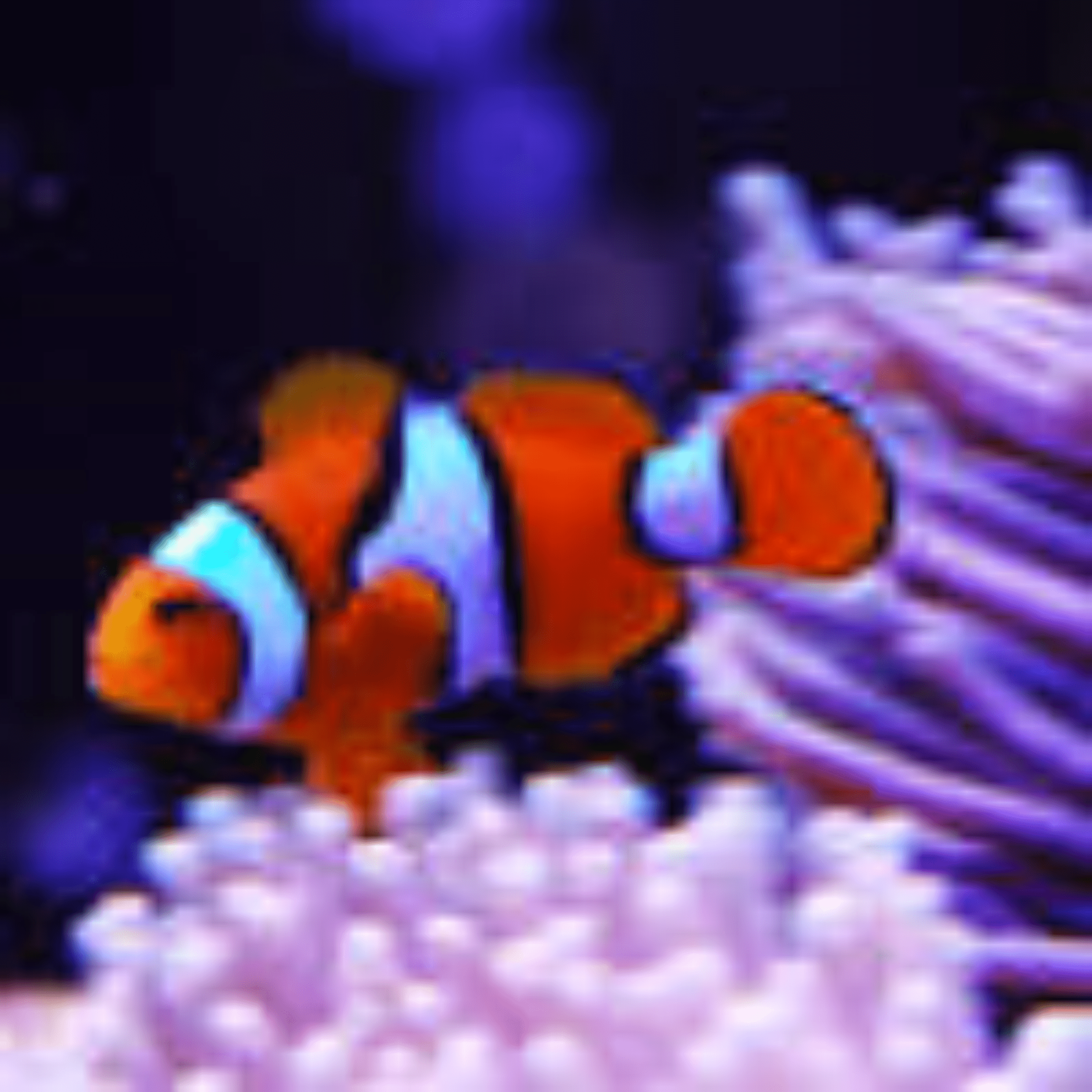 Seller profile