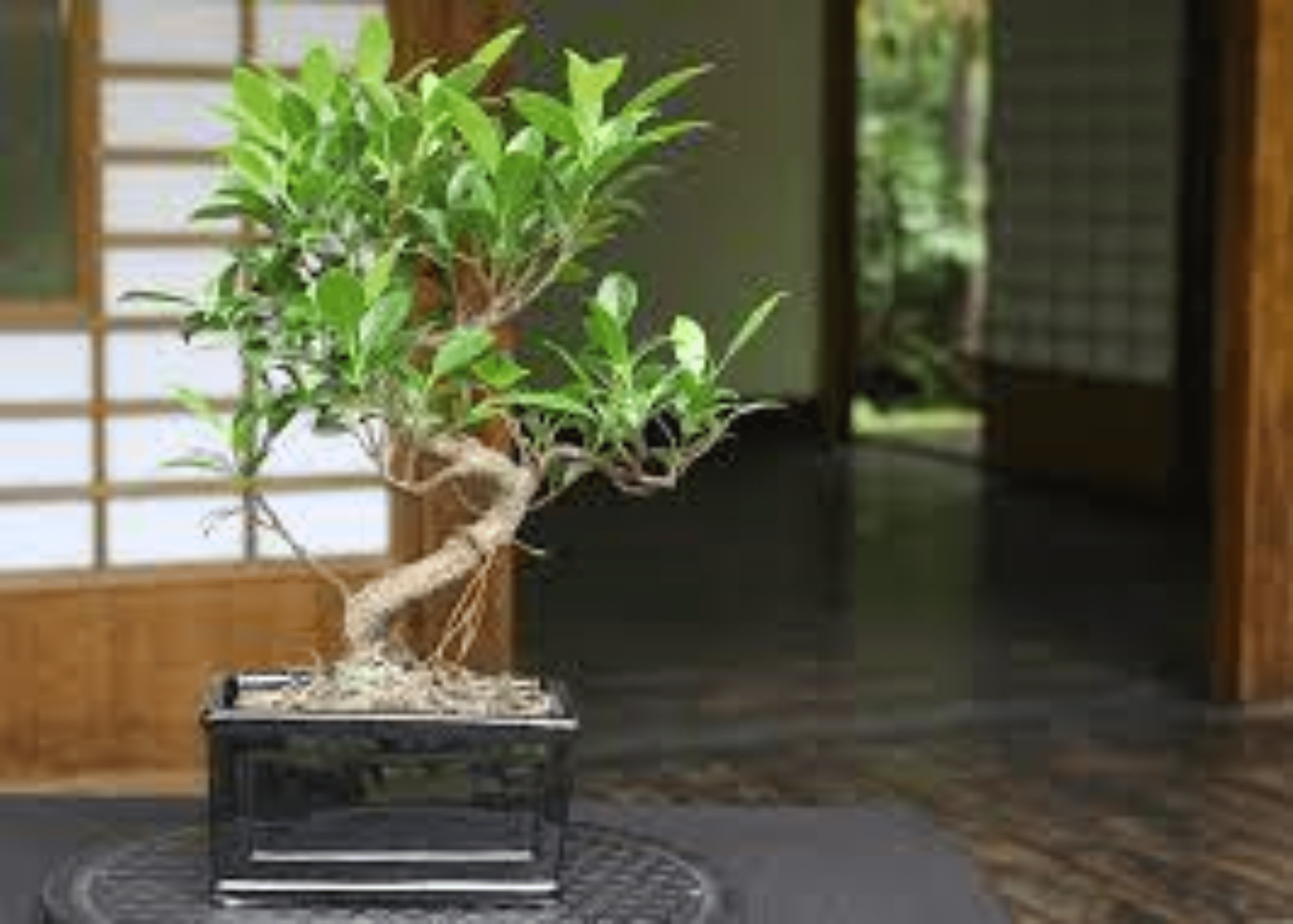 Seller profile