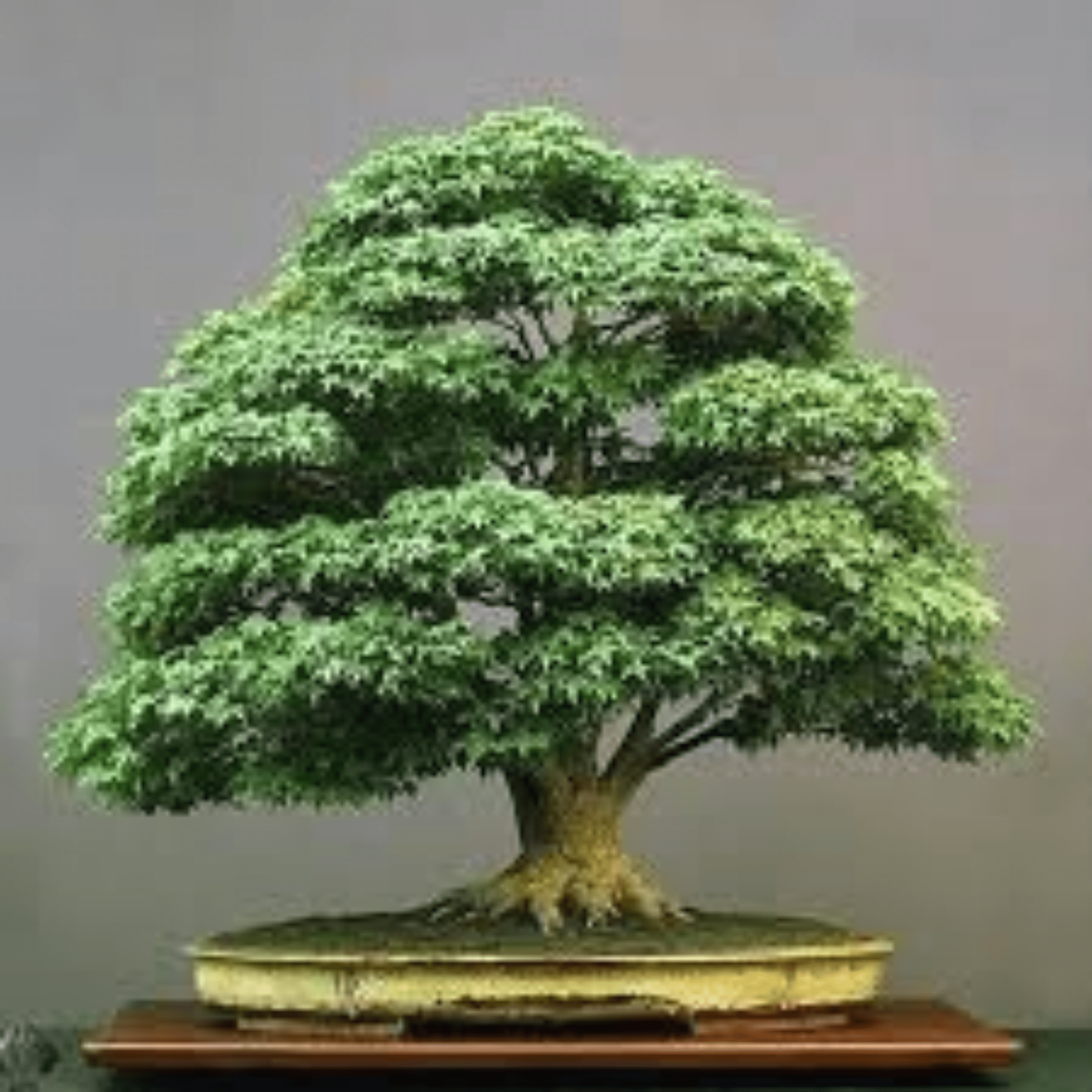 Seller profile