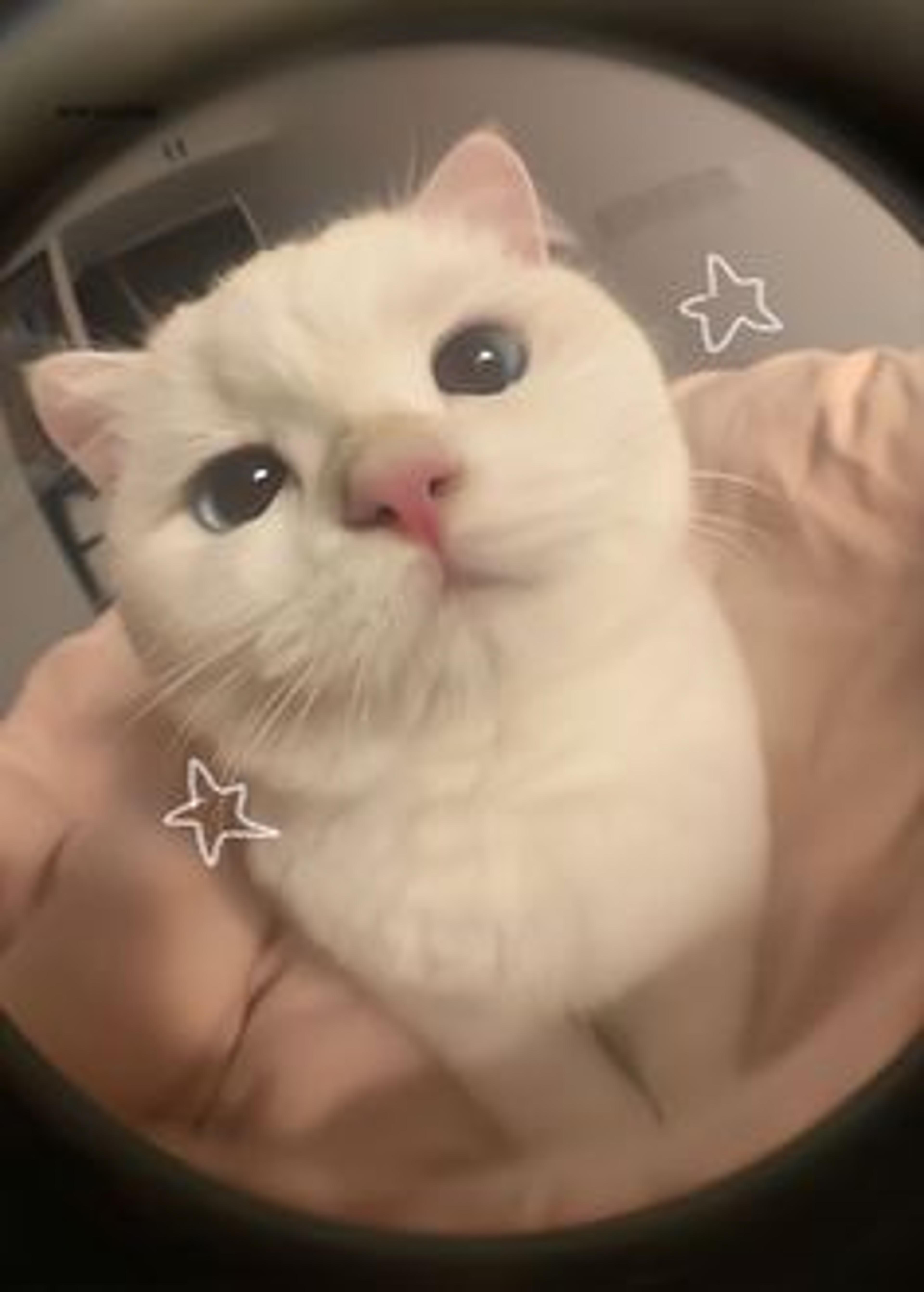 Seller profile