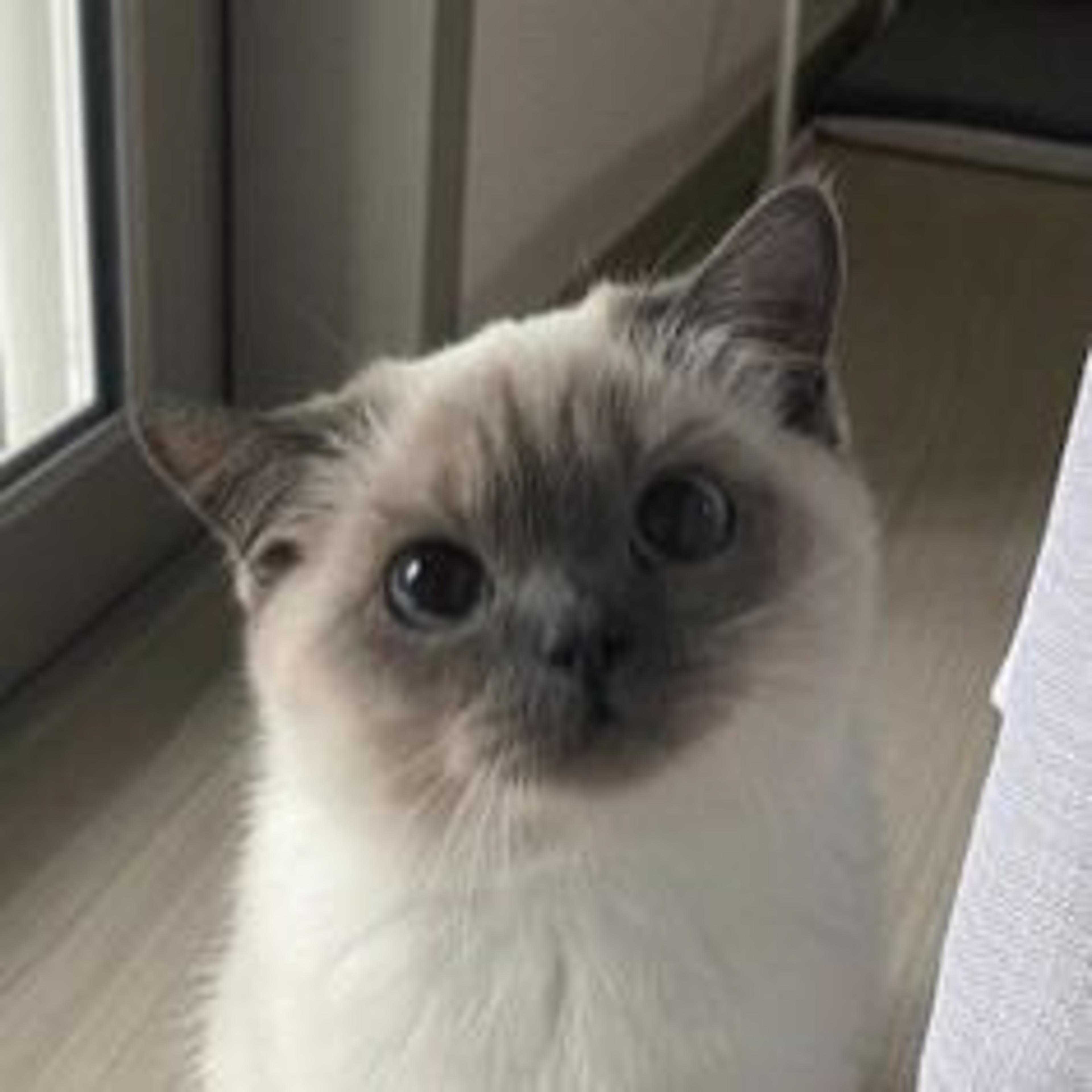 Seller profile