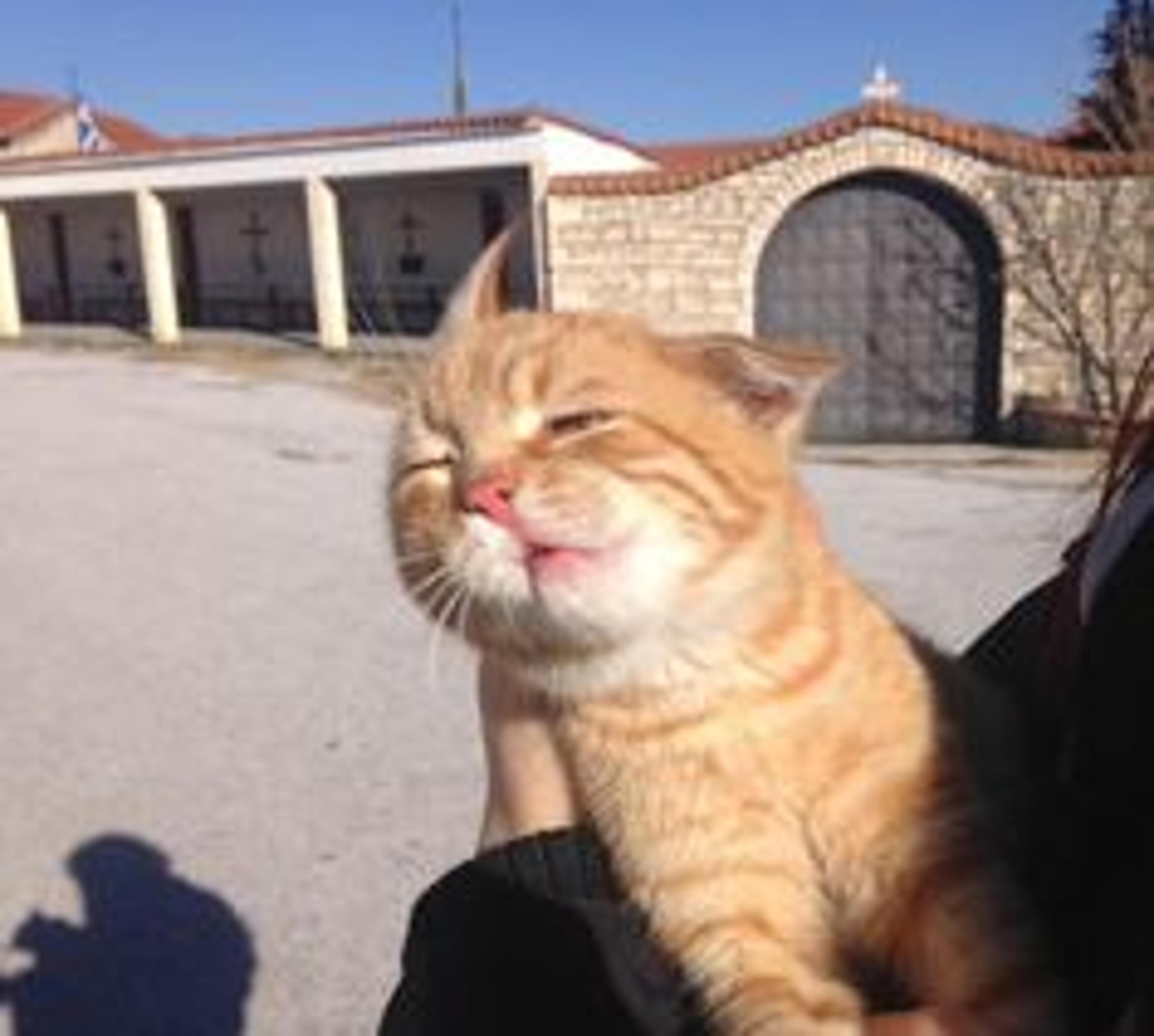 Seller profile