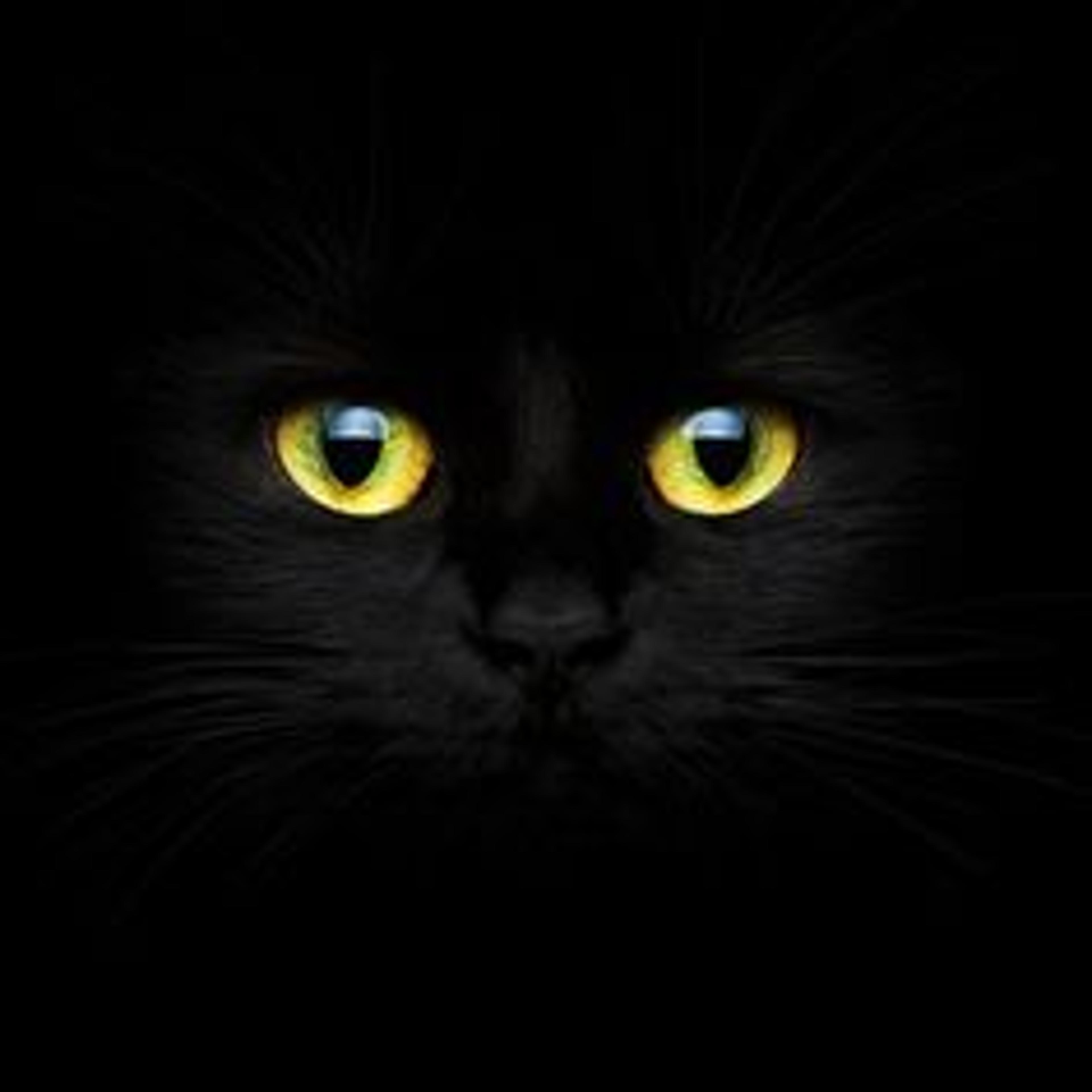 Seller profile