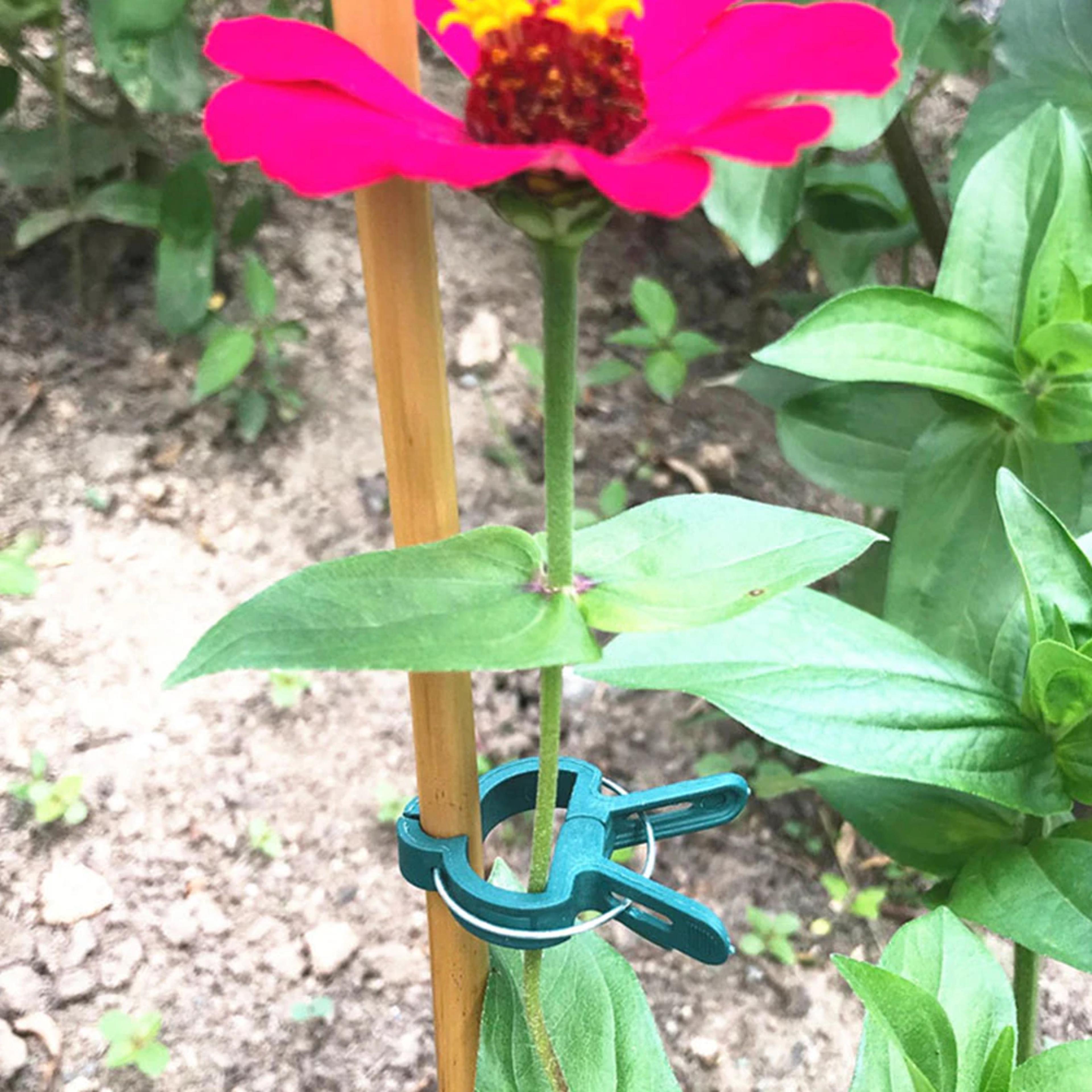20 Pcs Plastic Plant Support Clips 2
