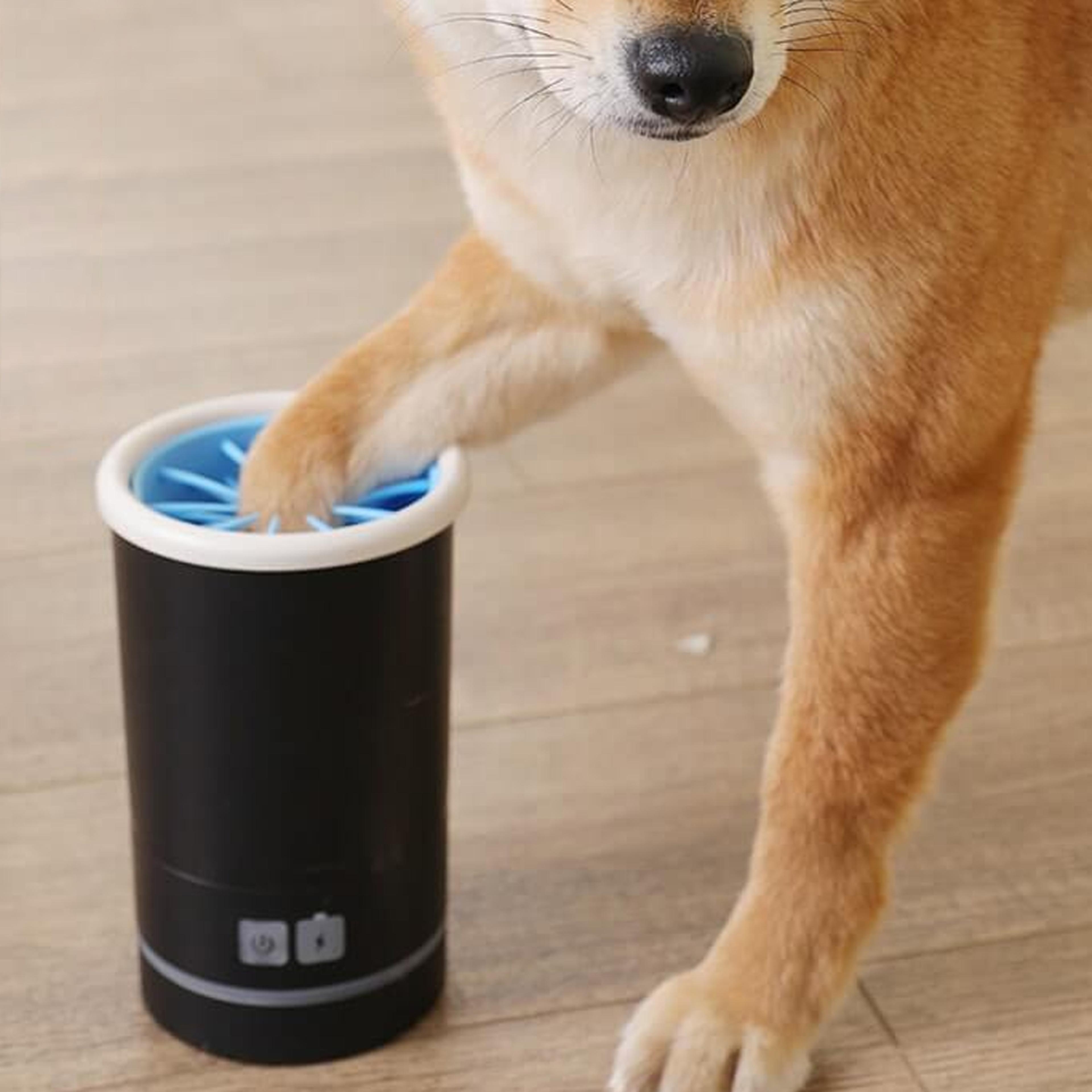 automaticdogpawwasher4