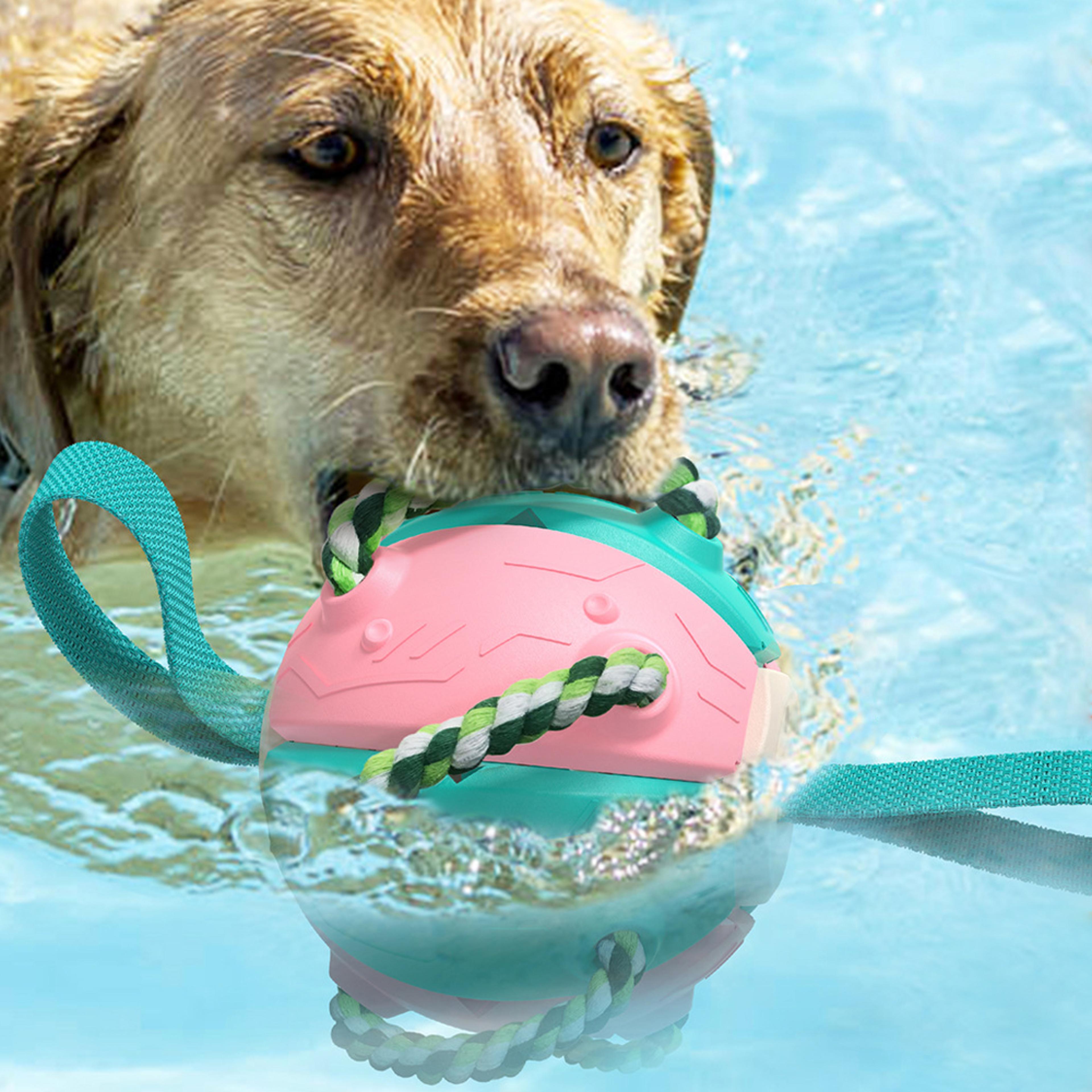 interactivedogtoy3