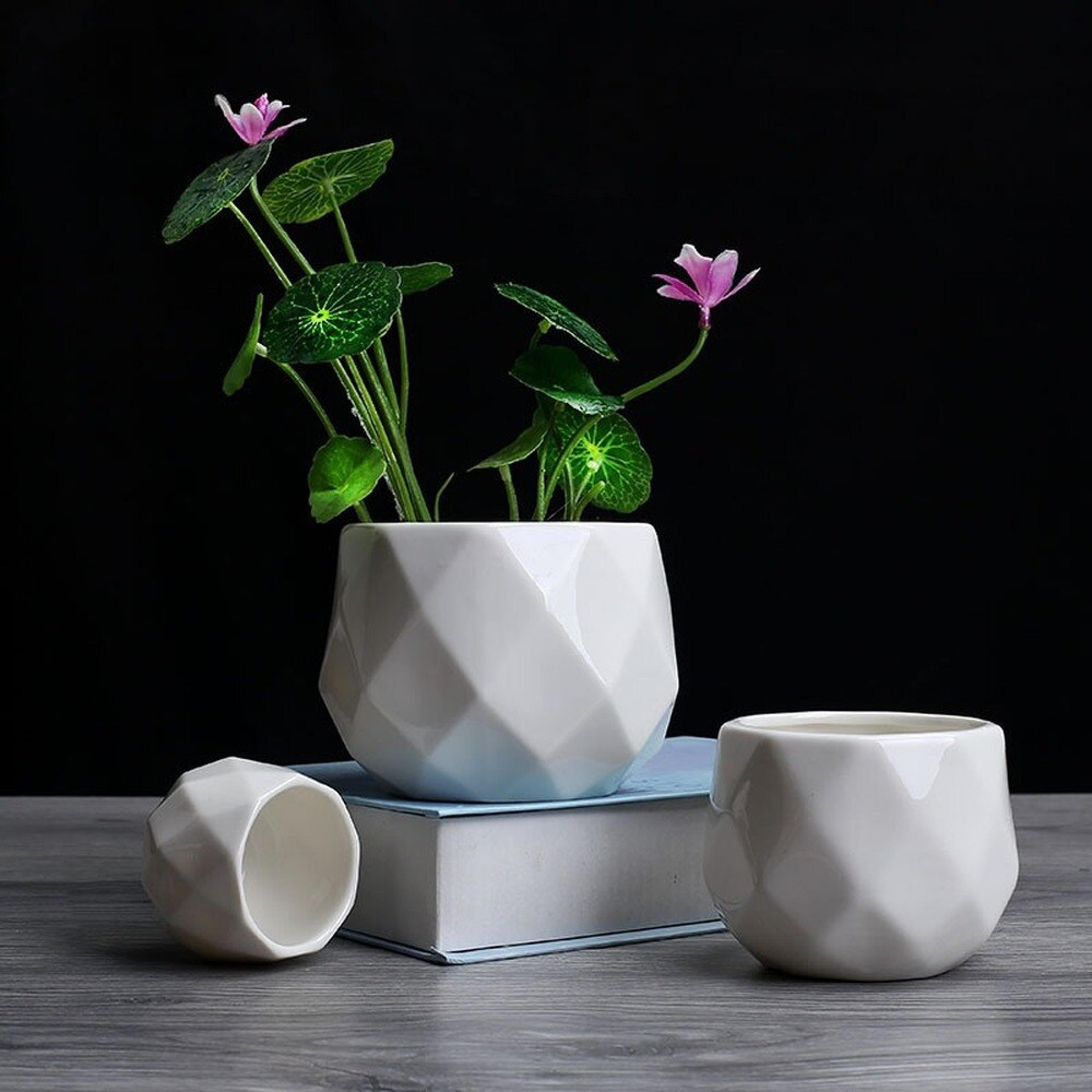 diamondplanter6