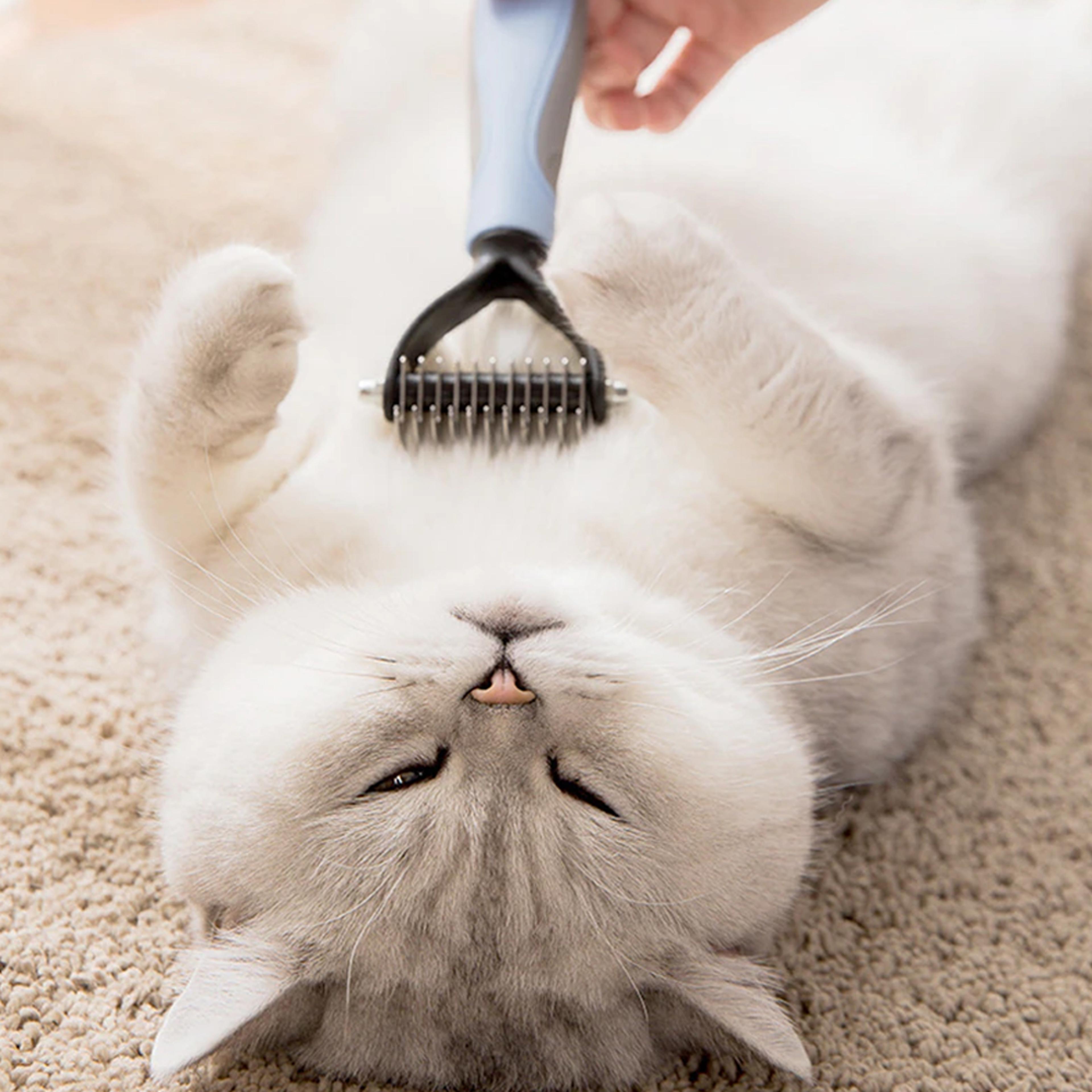petsafedemattingcomb3
