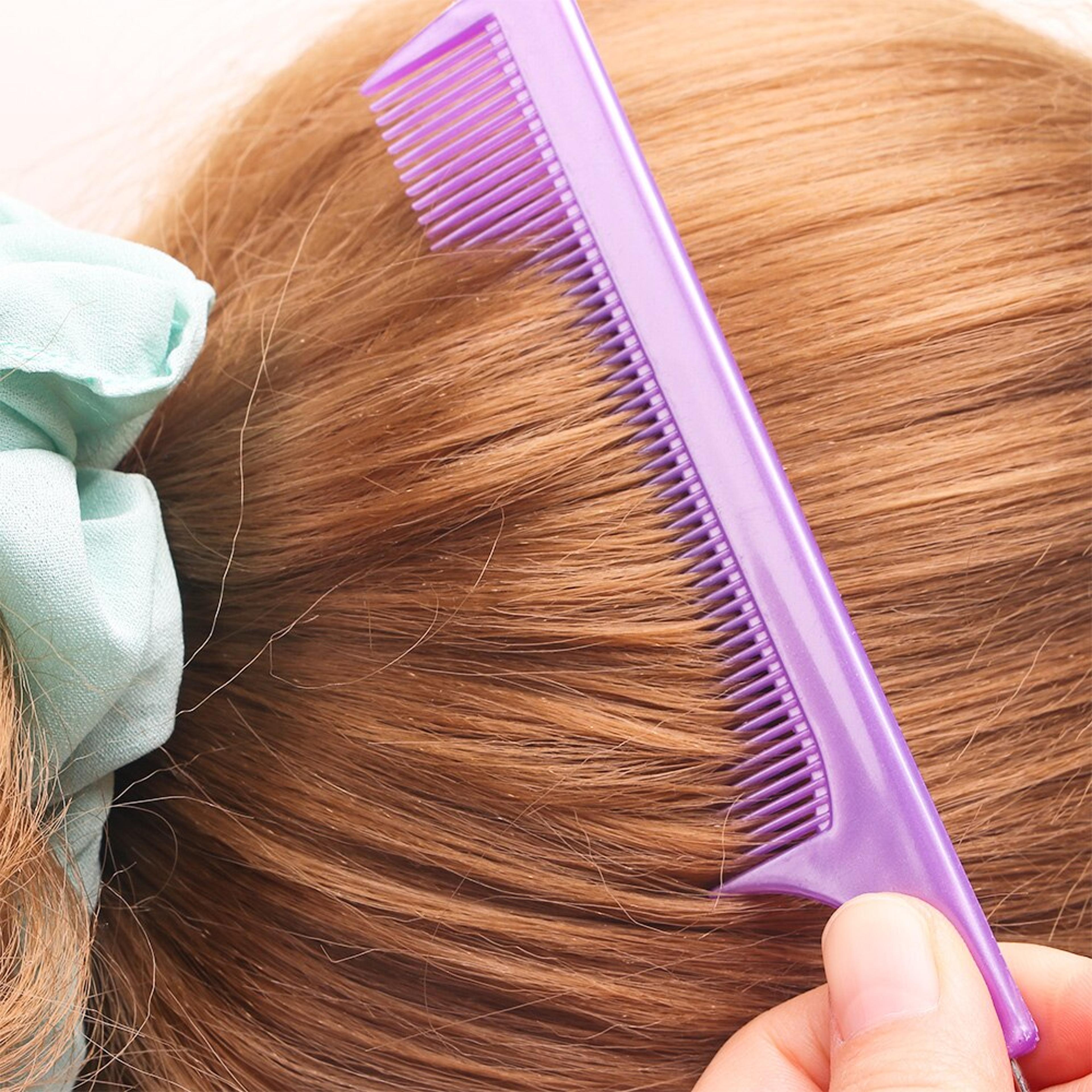 pintailcomb3