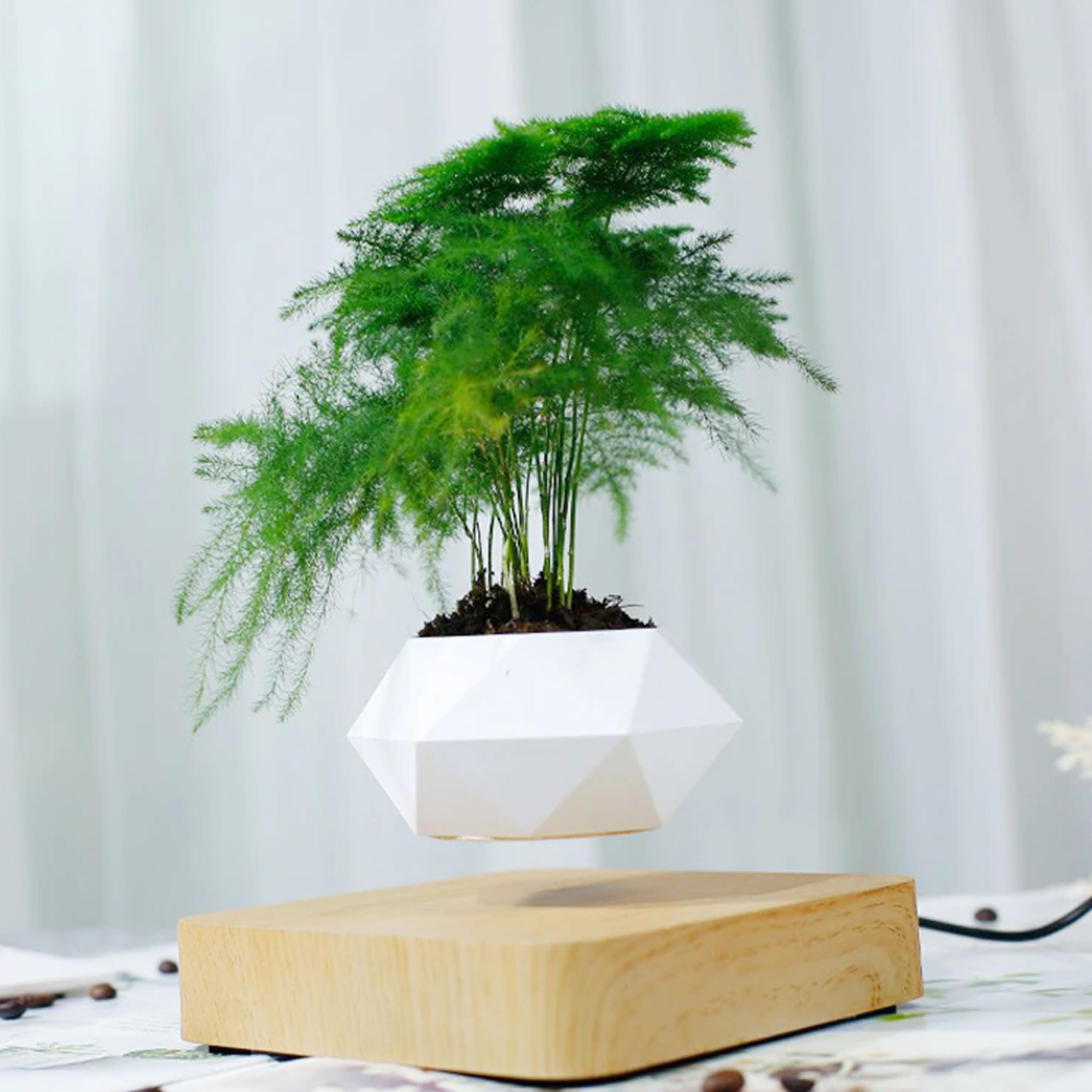 Magnetic Levitating Plant Pot For Bonsai, Real & Fake Plants 1