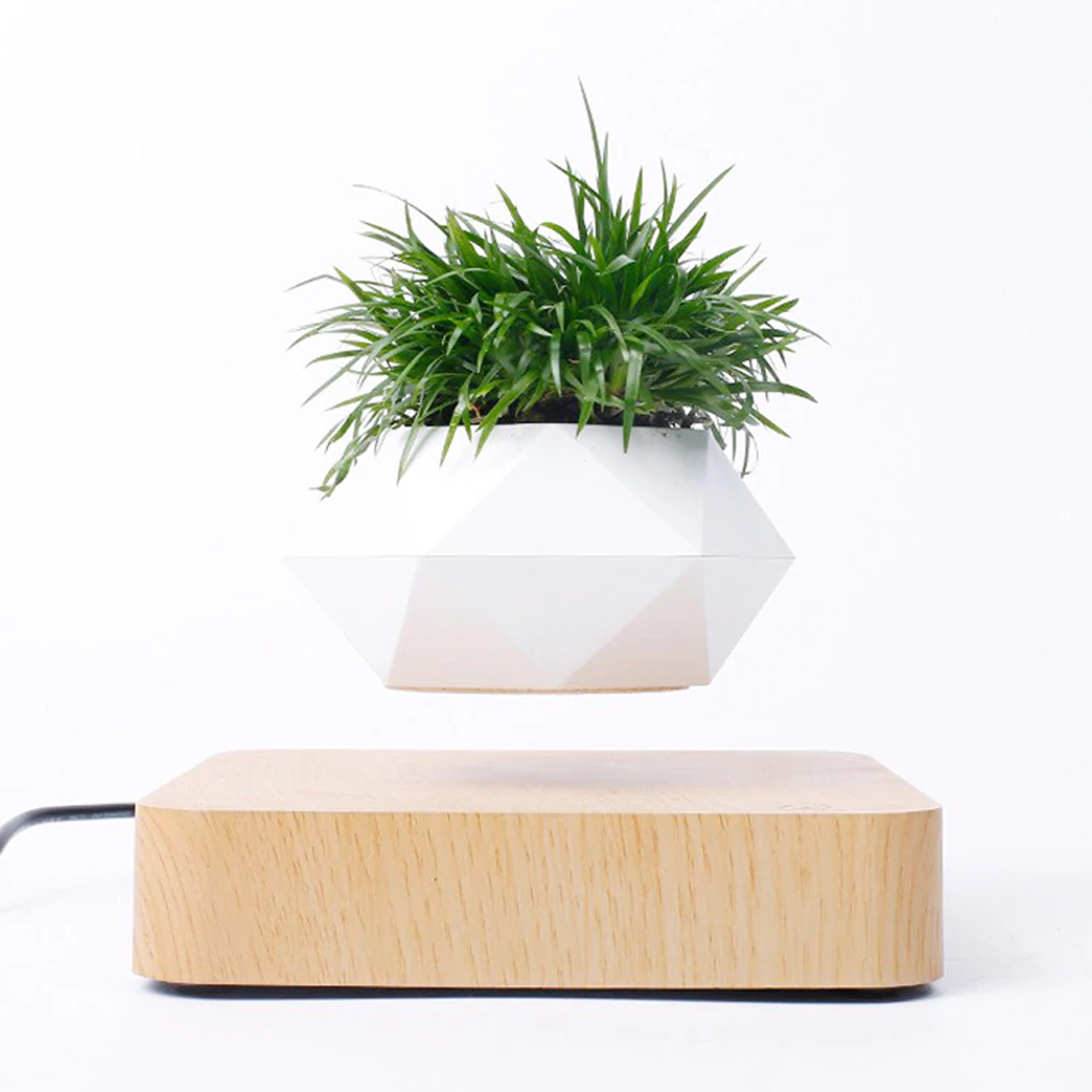 Magnetic Levitating Plant Pot For Bonsai, Real & Fake Plants Lightwood base