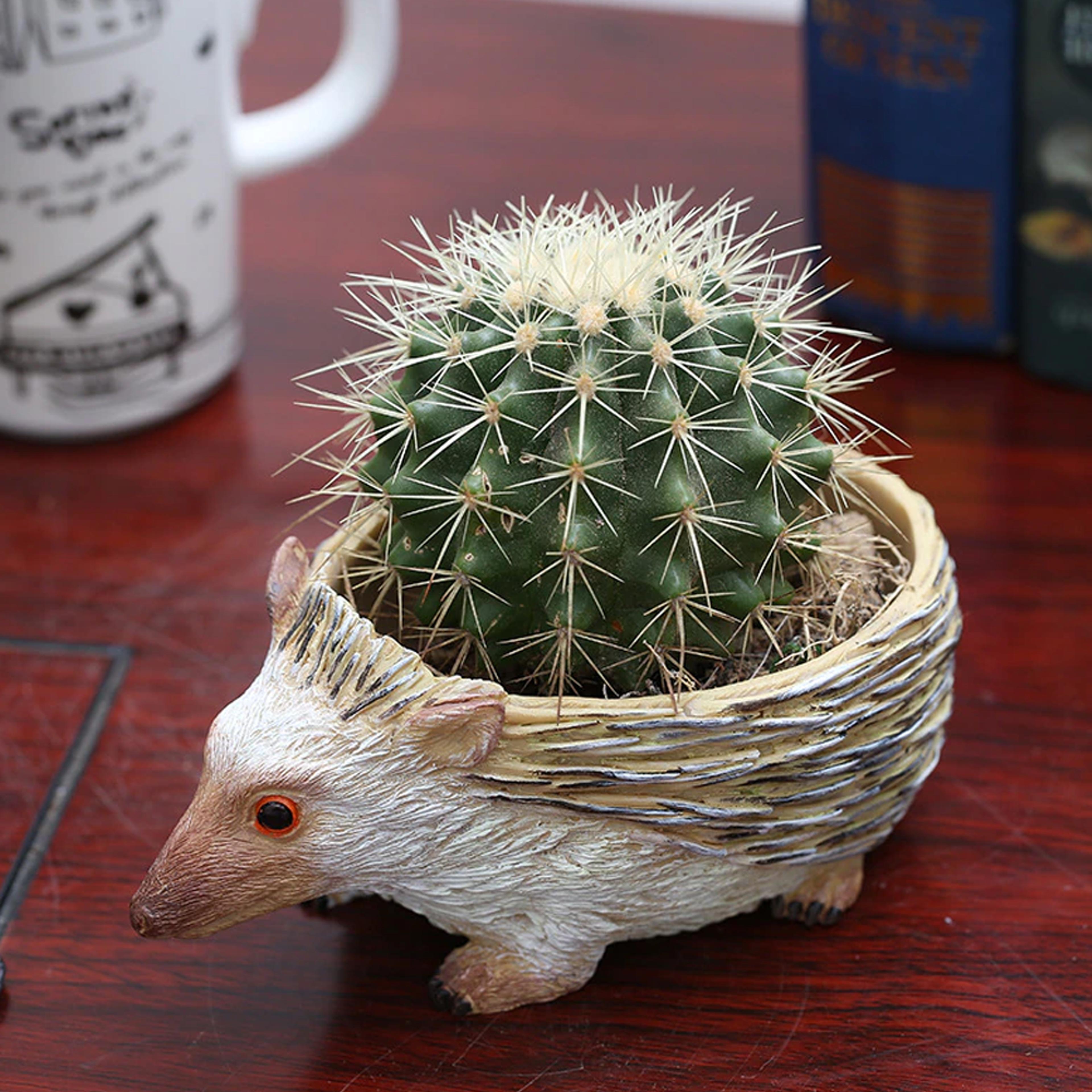 Resin Hedgehog Planter 3