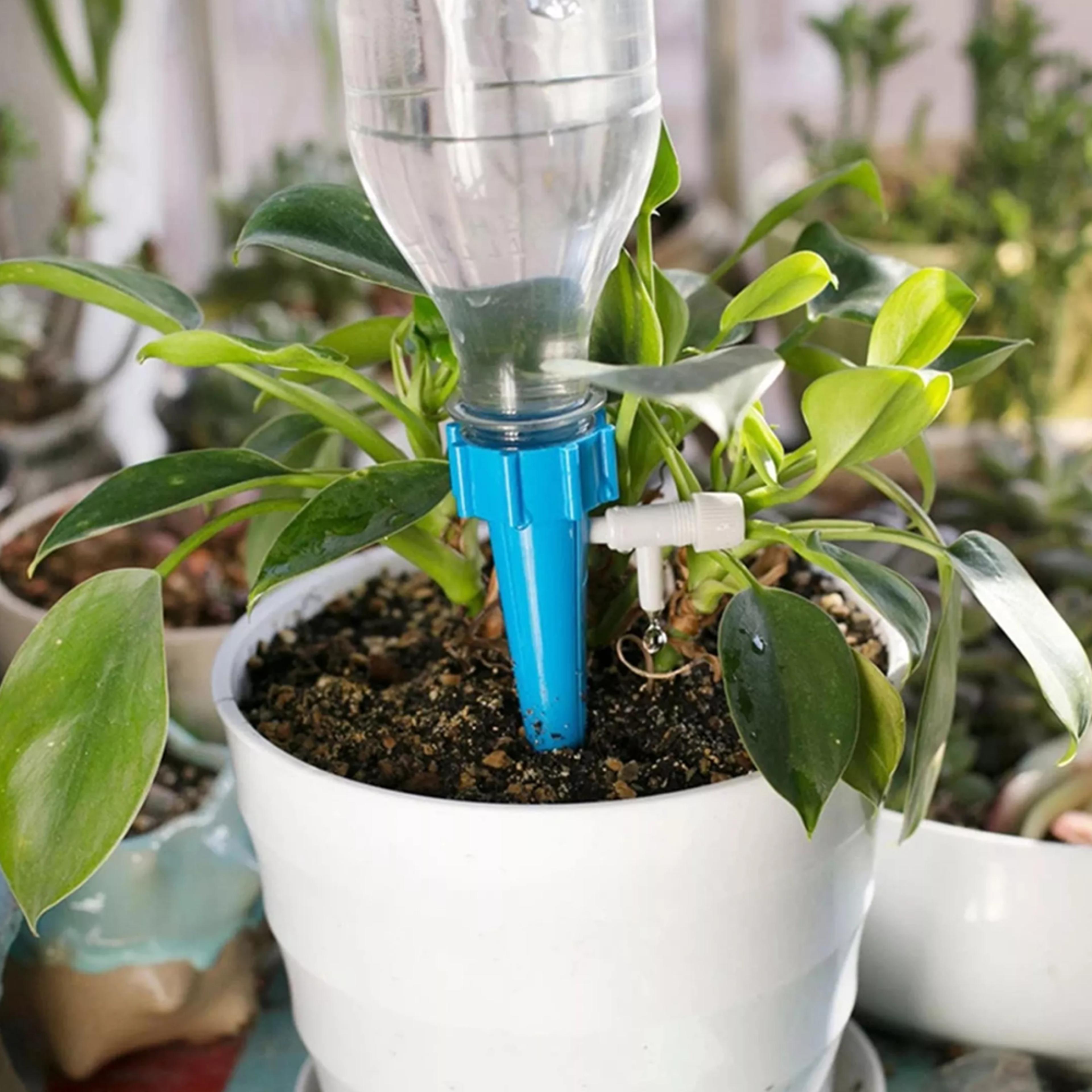 self watering spikes