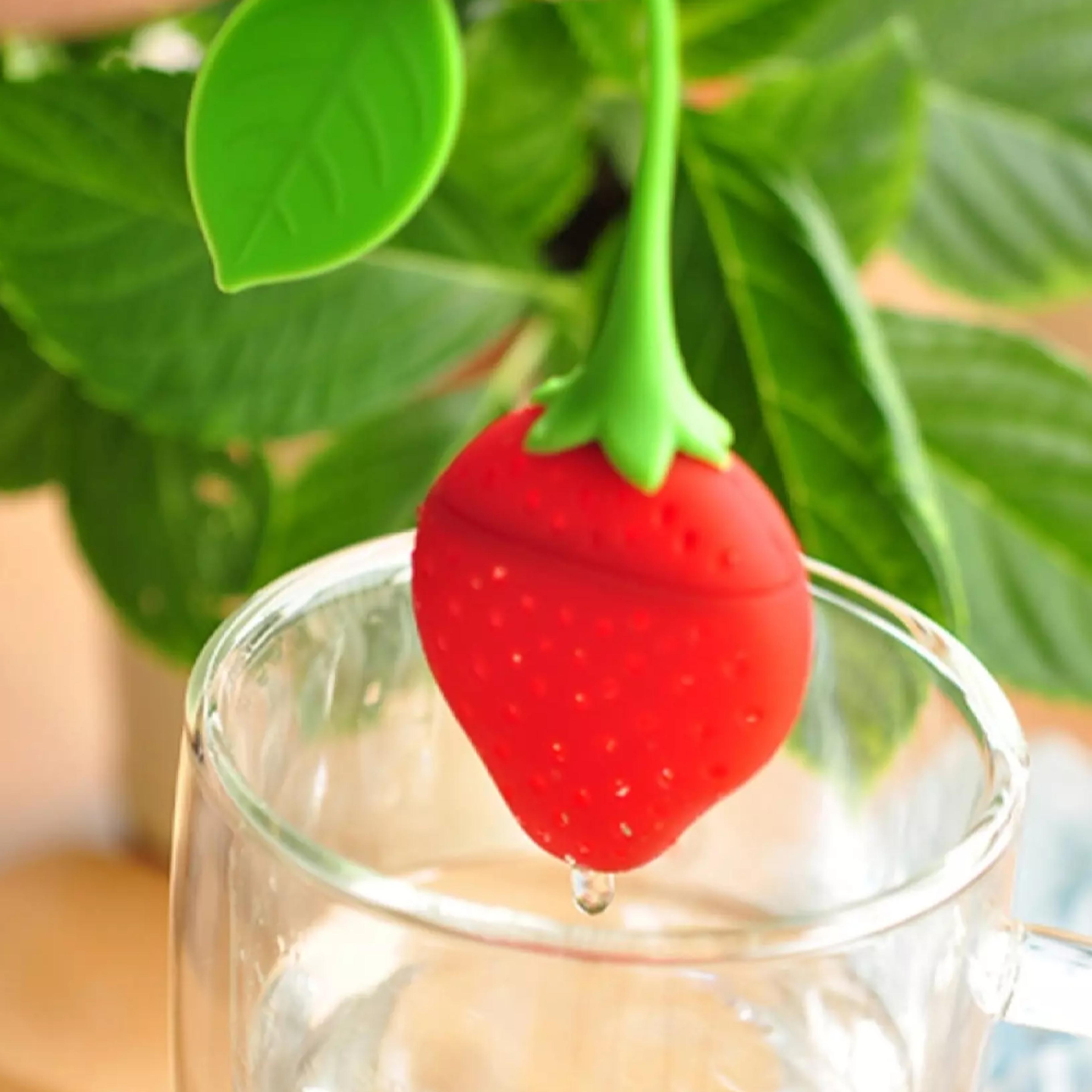 Strawberryteainfuser4