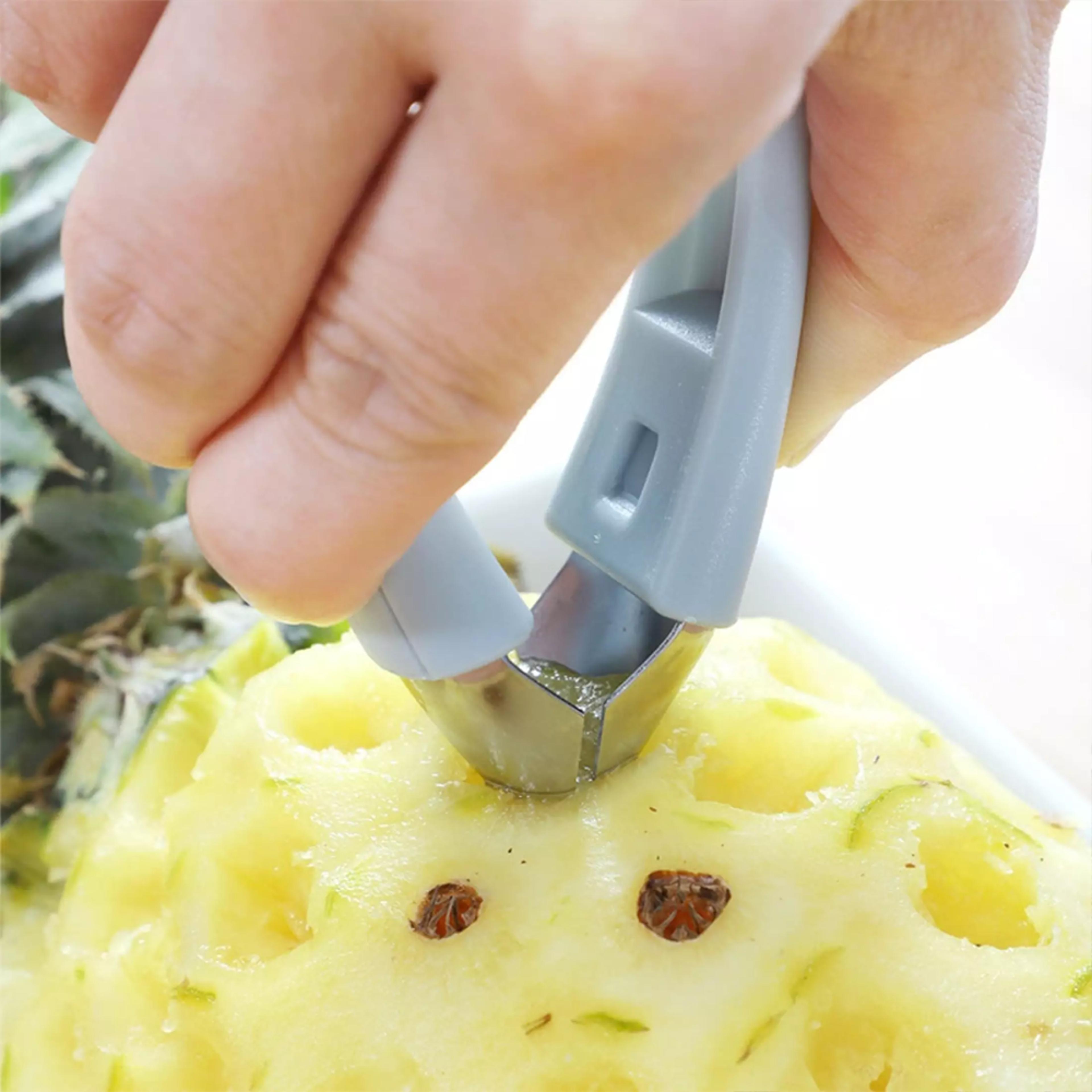 V Shape Pineapple Eye Remover Tool4