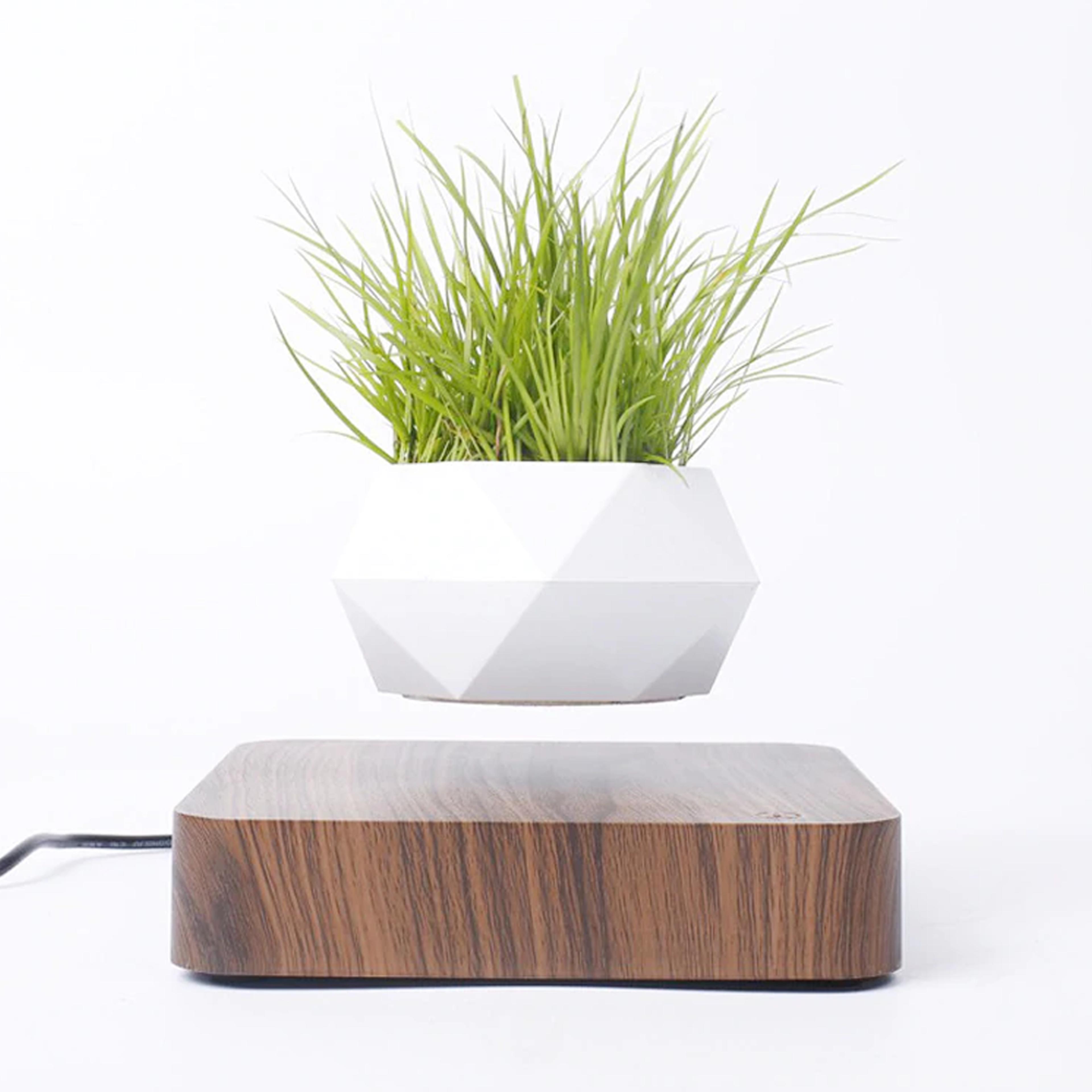 Magnetic Levitating Plant Pot For Bonsai, Real & Fake Plants Walnut base