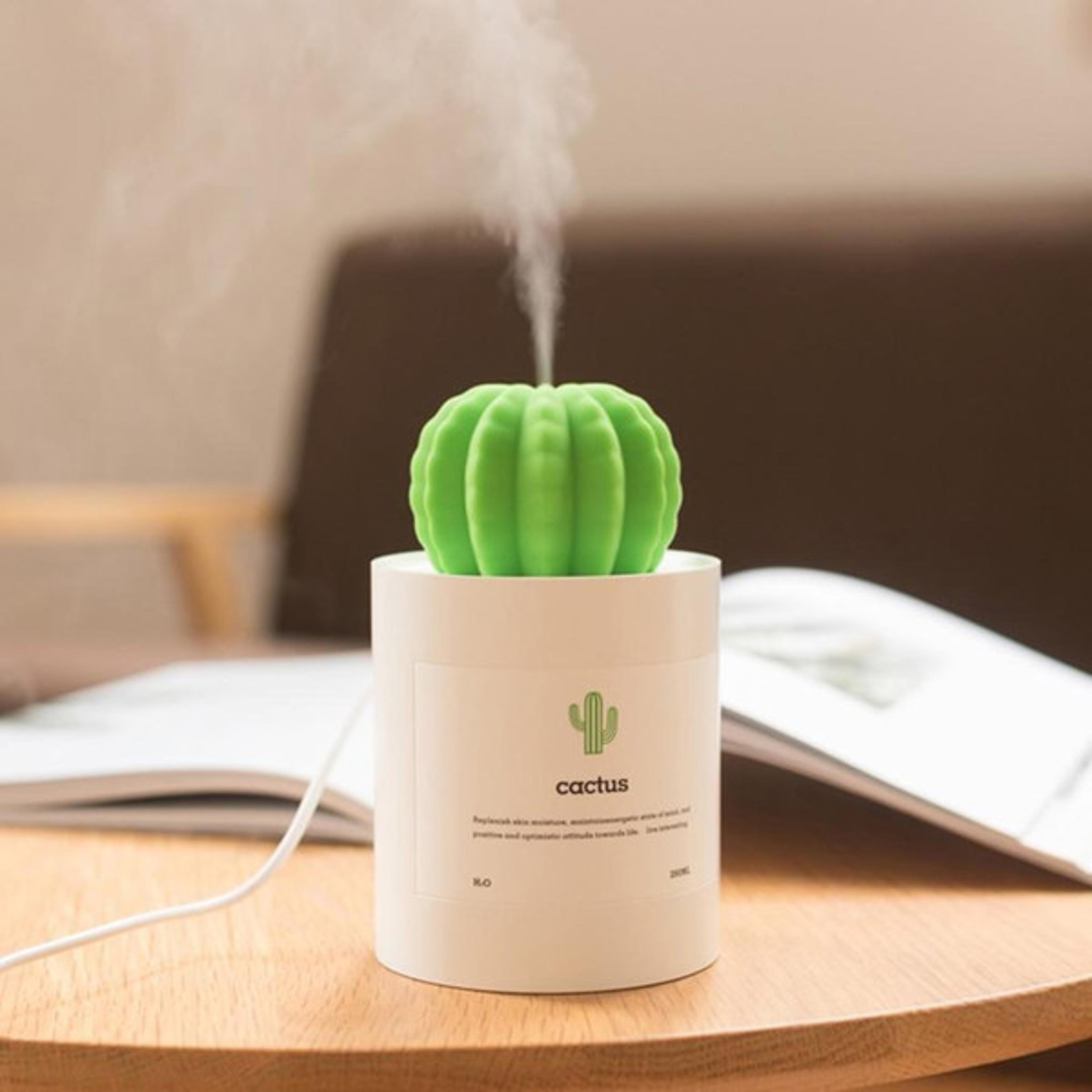 Cactus Humidifier Lamp 1