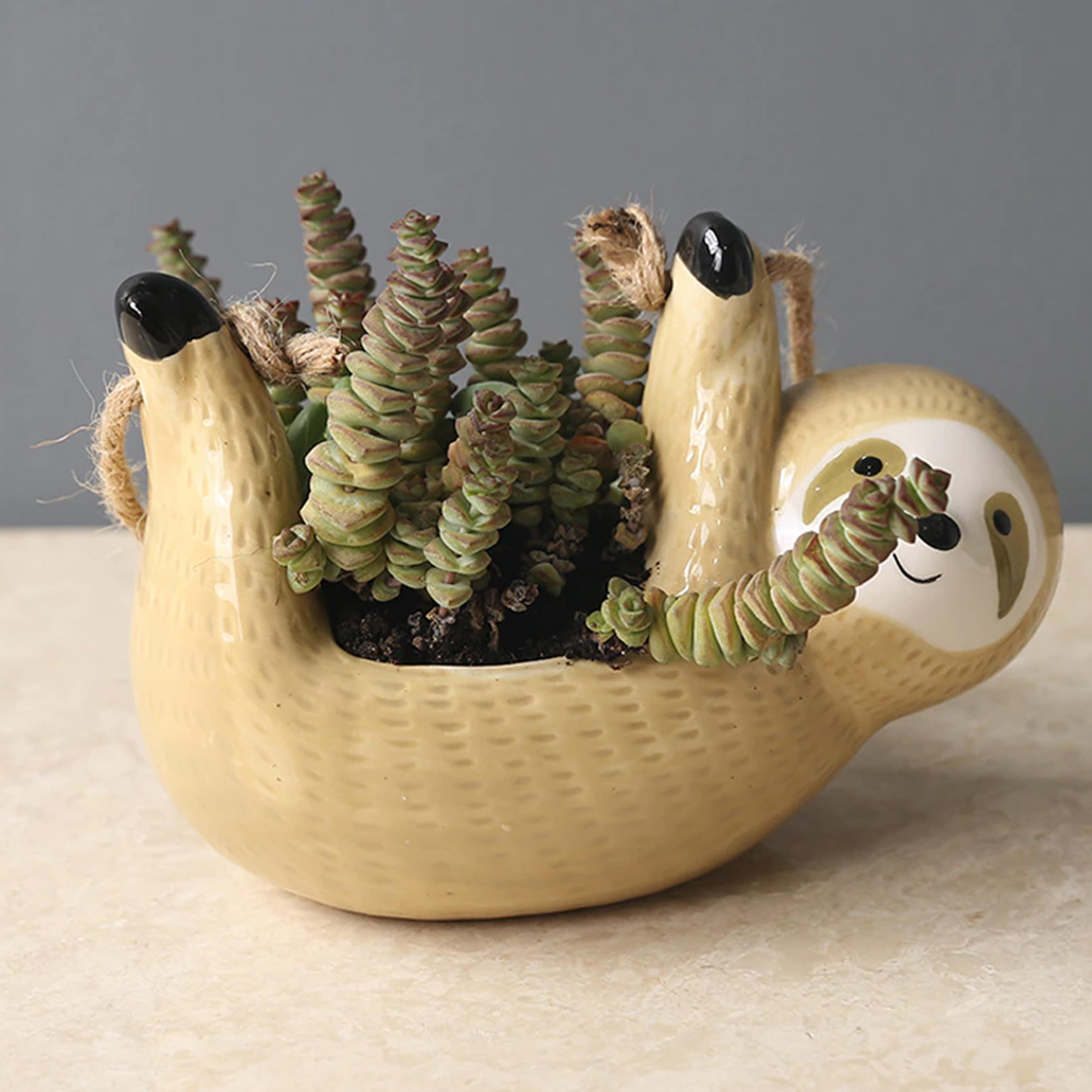 Sloth Hanging Planter For Succulents & Indoor Plants Yellow