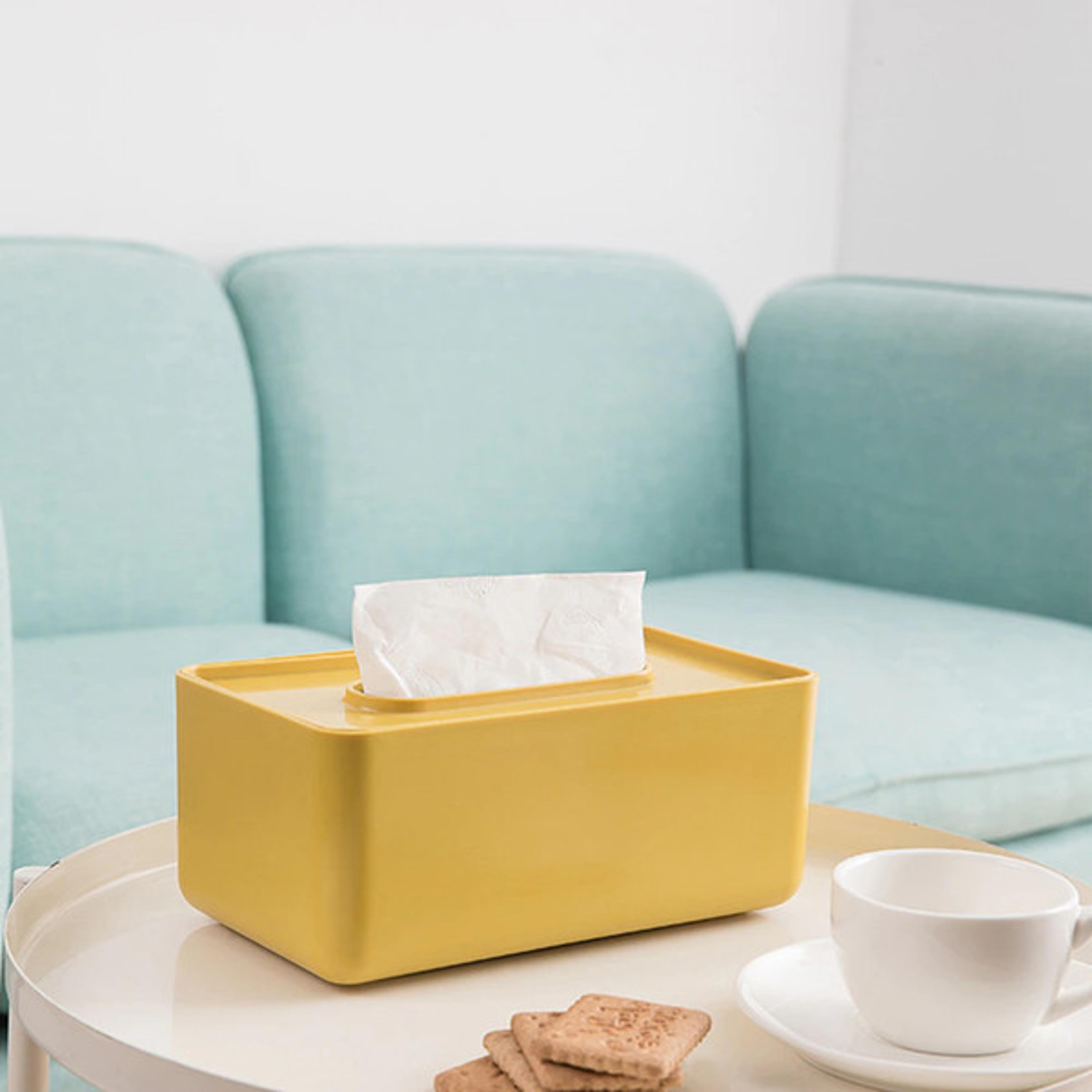 Facial Tissue Dispenser Box With Lid (3).jpg