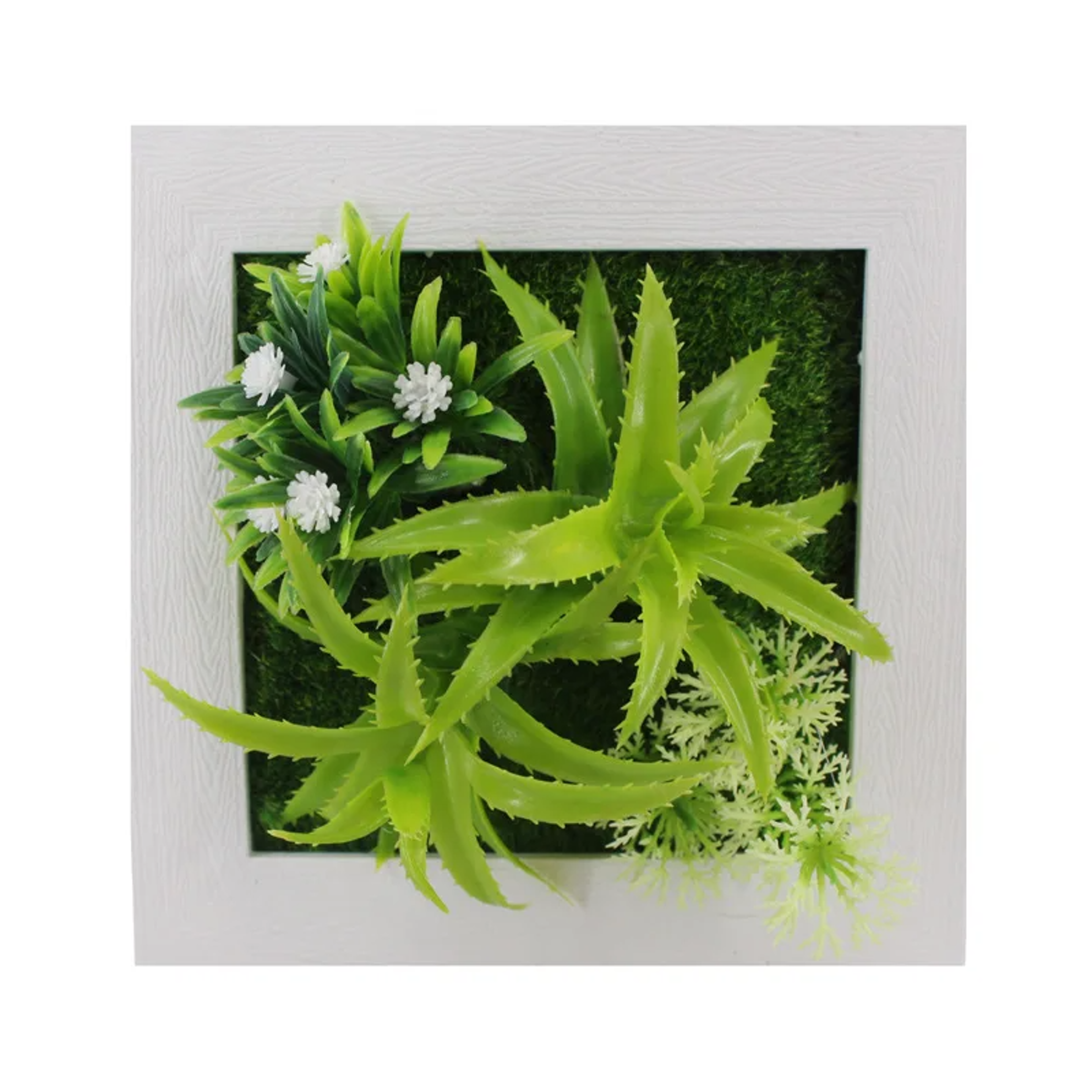 Succulent Wall Hanger Frame (4).png