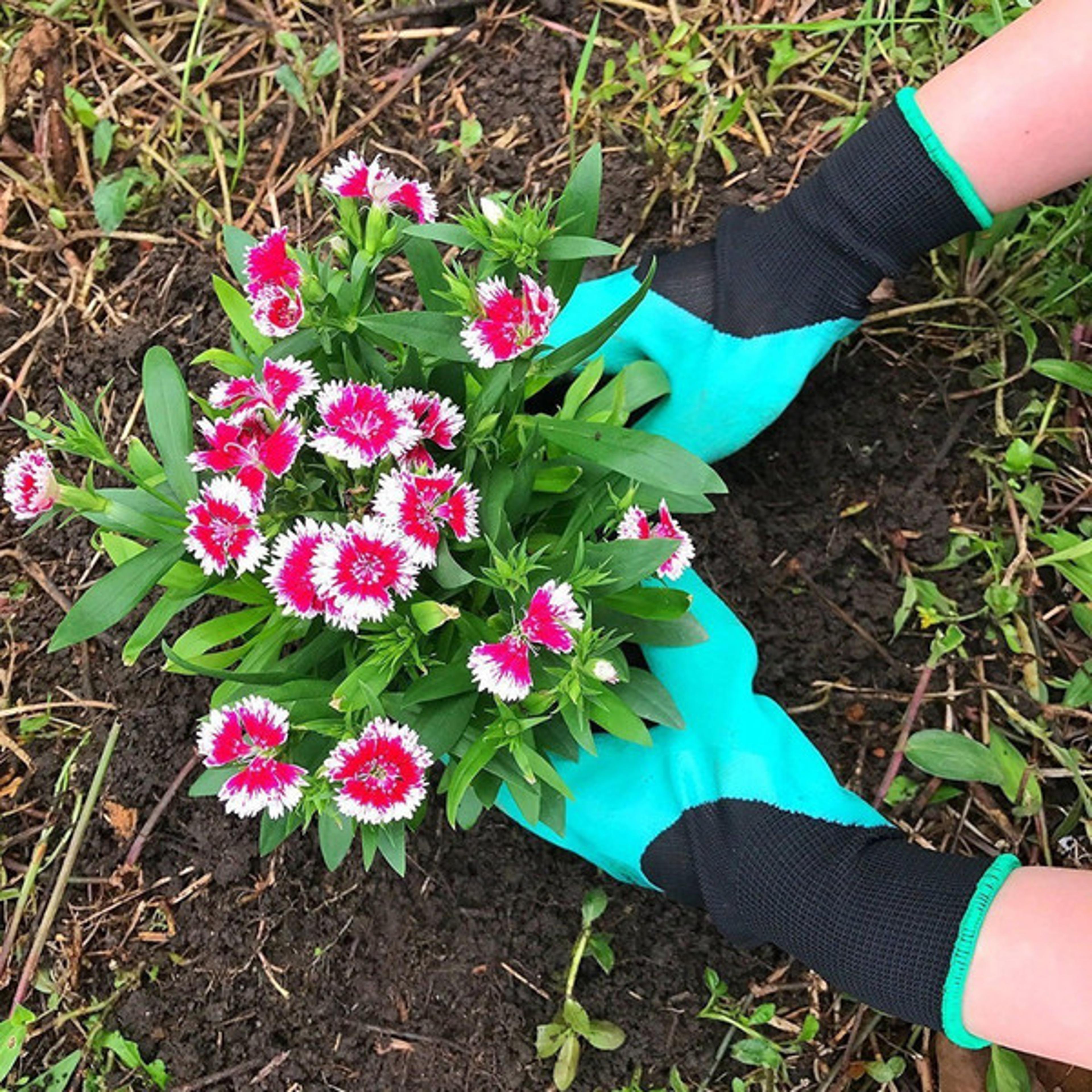 Durable Claws Garden Gloves, Puncture-Proof Rubber-Latex, Waterproof & Breathable Design5