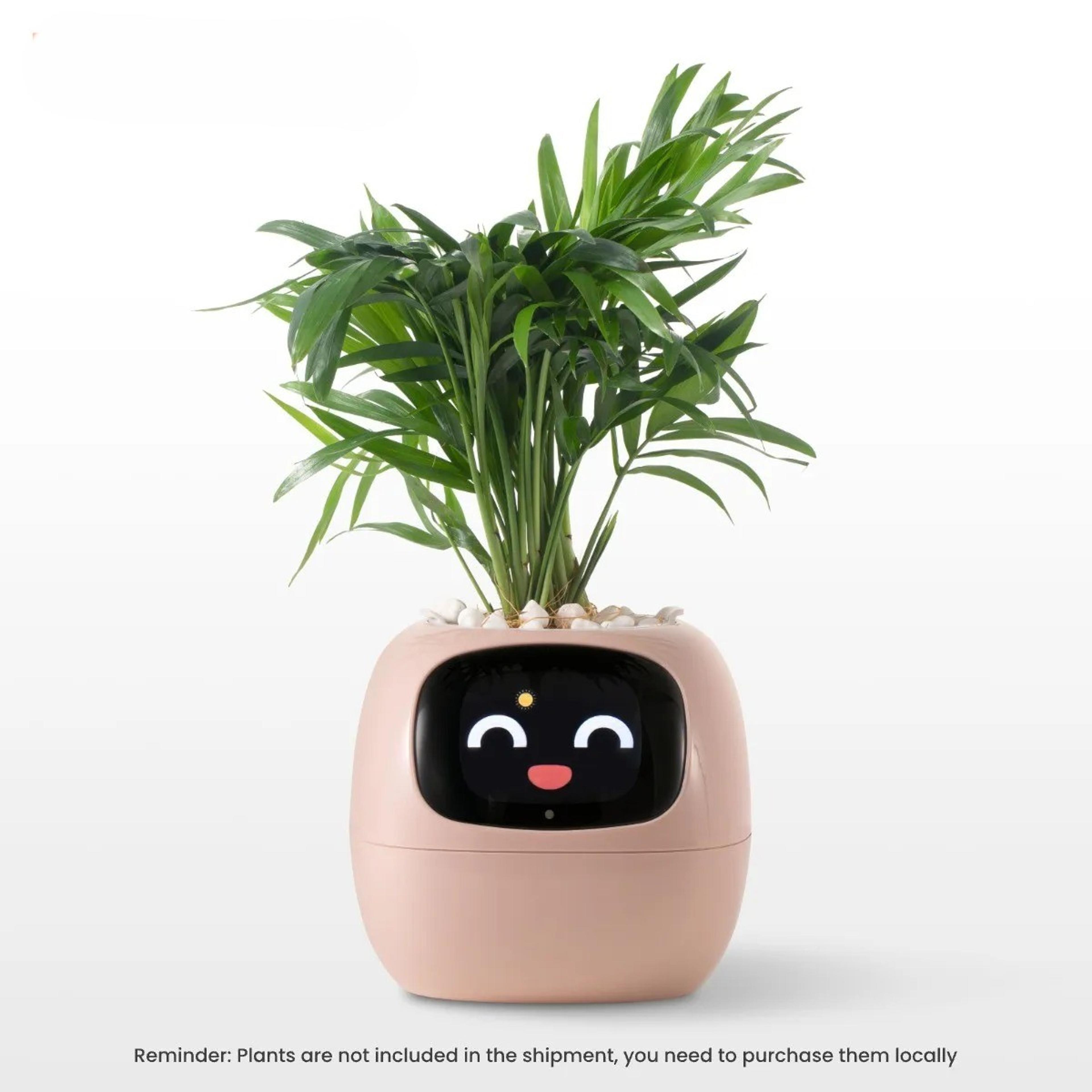 HighTech Planter with LCD Screen
