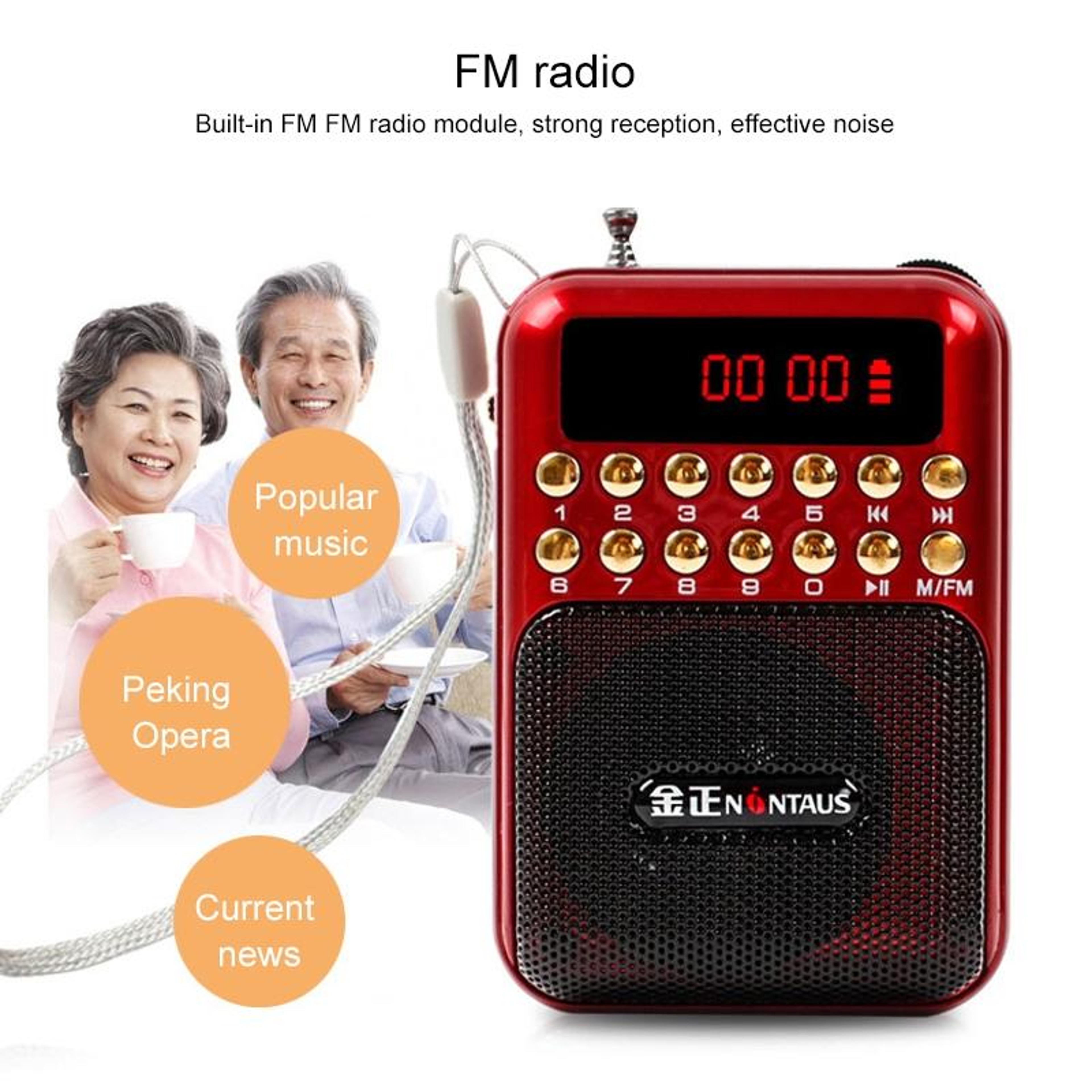 Portable FM Radio  Rechargeable MP3 Player Speaker With USB And TF Card Support 9