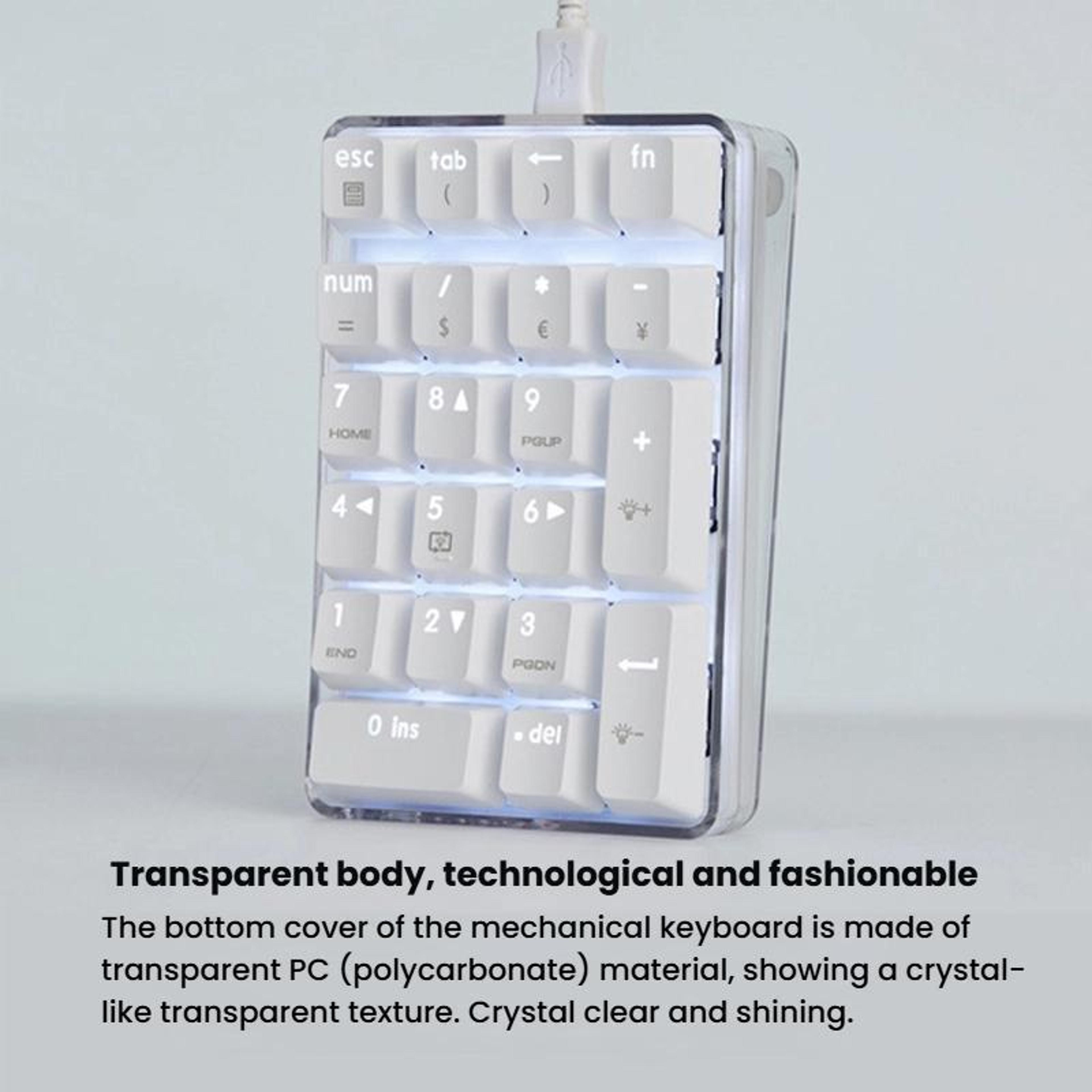 Little Kangaroo DS9817 Wired Numeric Keypad With Backlit Keys For Finance Banking  Office Use 11