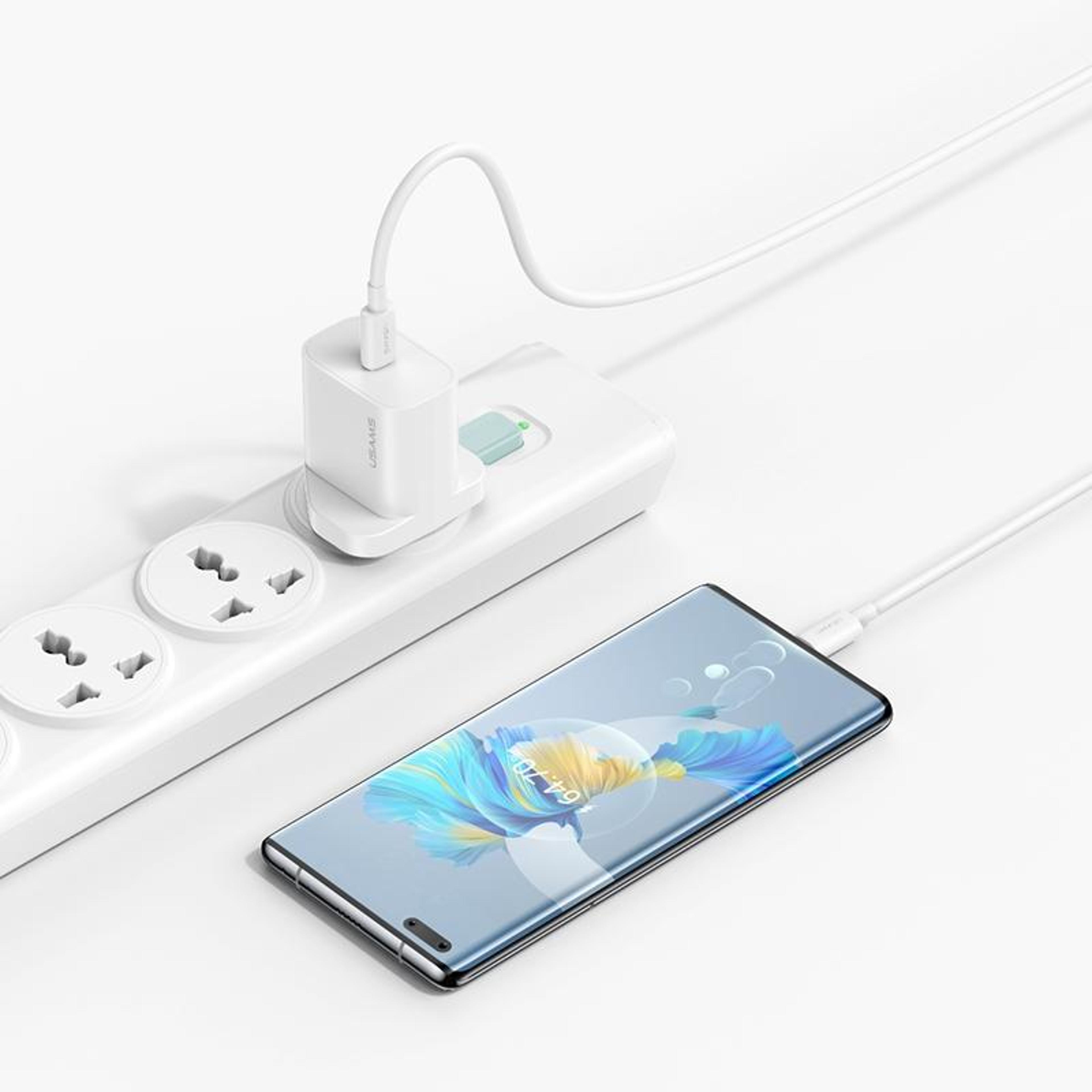 USAMS CC227 20W USBC Charger Set With PD Fast Charger USBC Cable 1M TypeC Wall Adapter 3