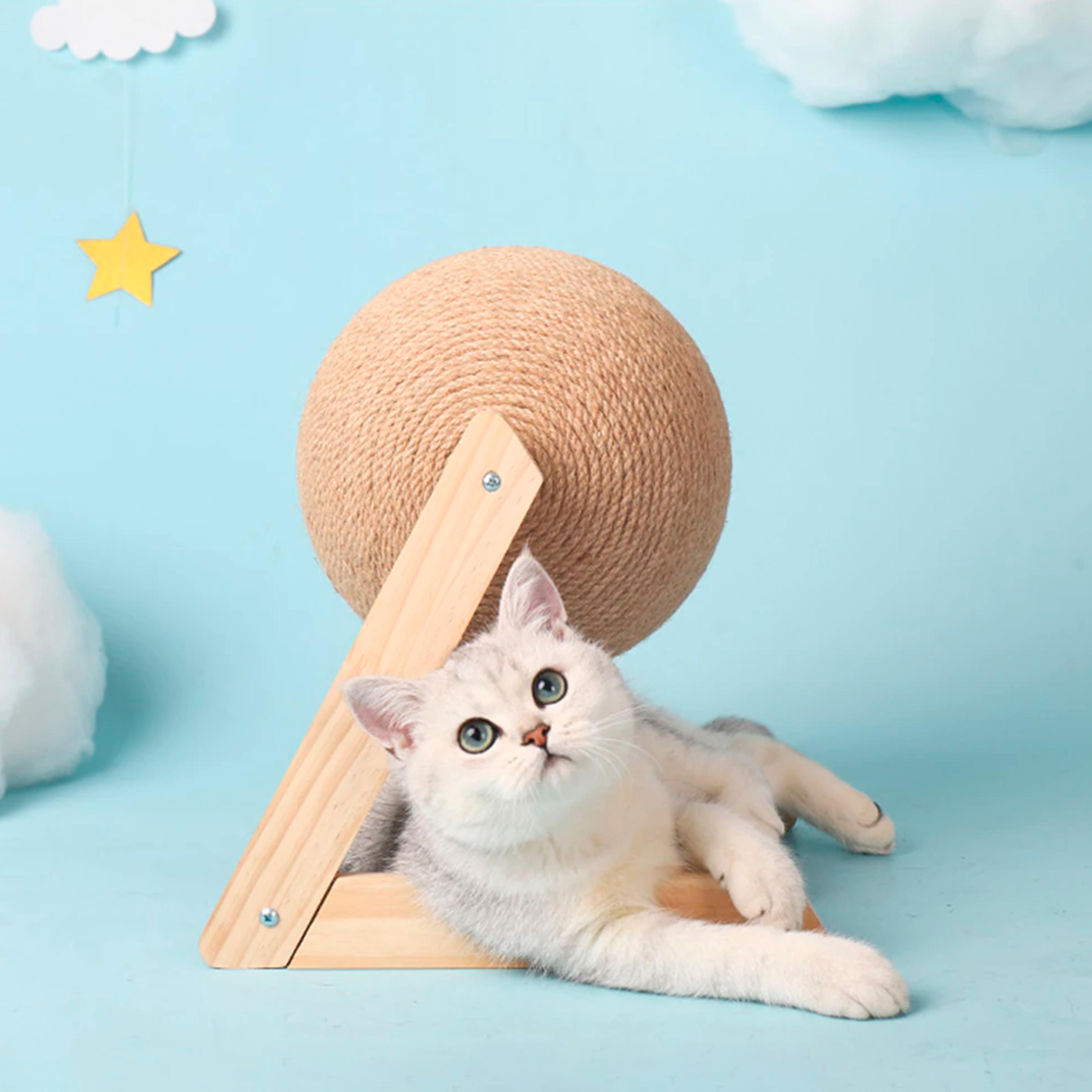 catscratchingballtoyltype.png