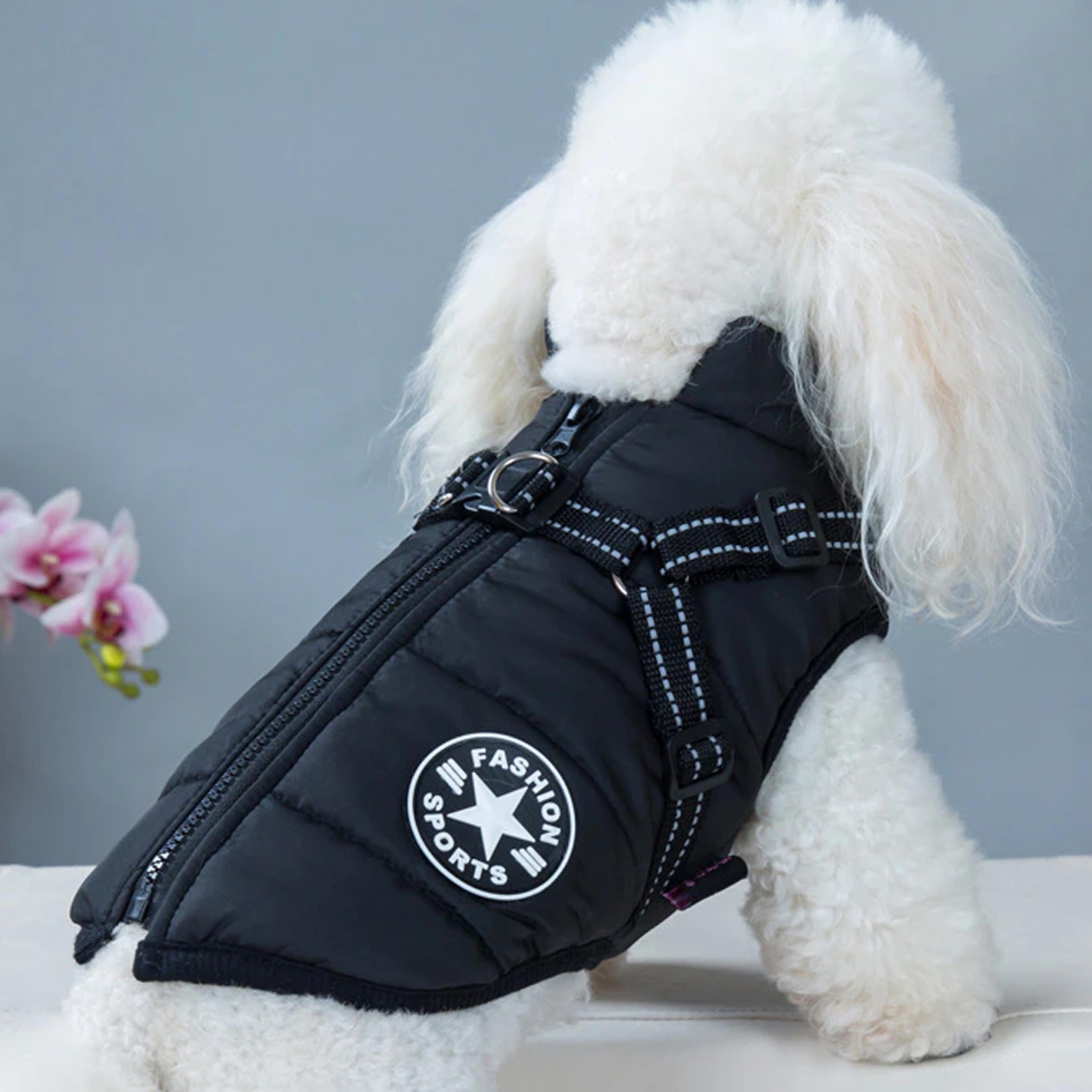 Dog Coat for Cold Weather