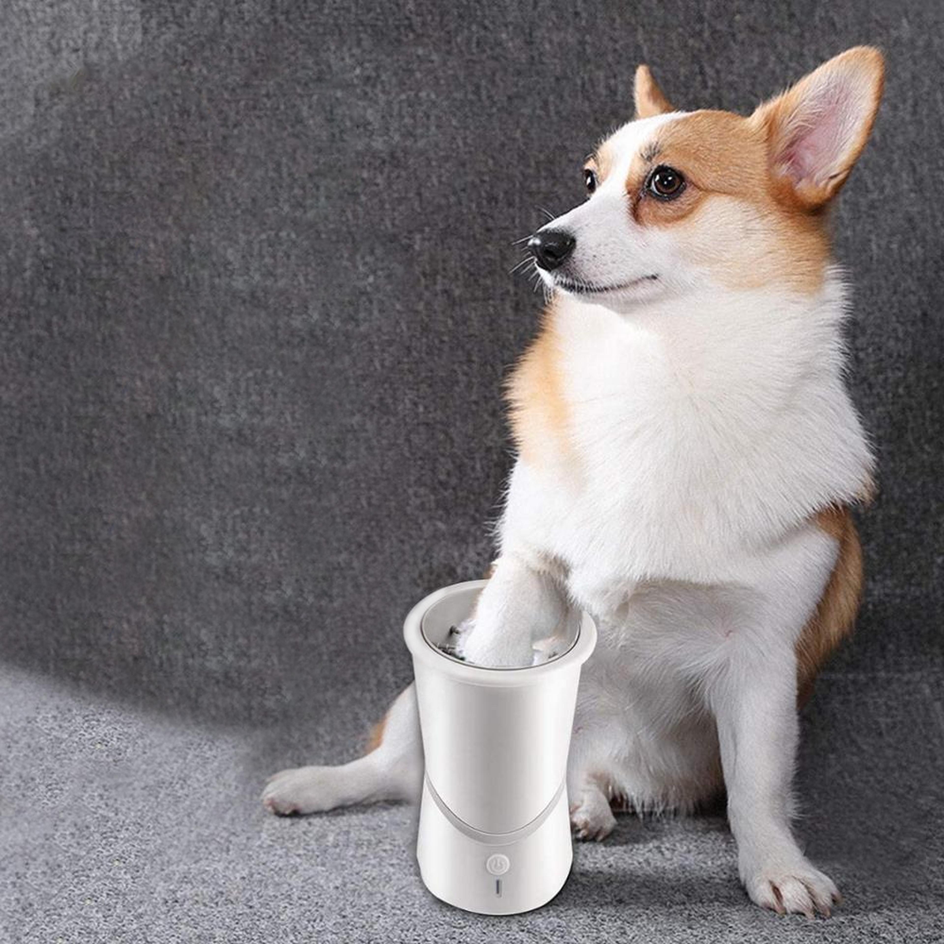 electricpetfootcleaner2.png