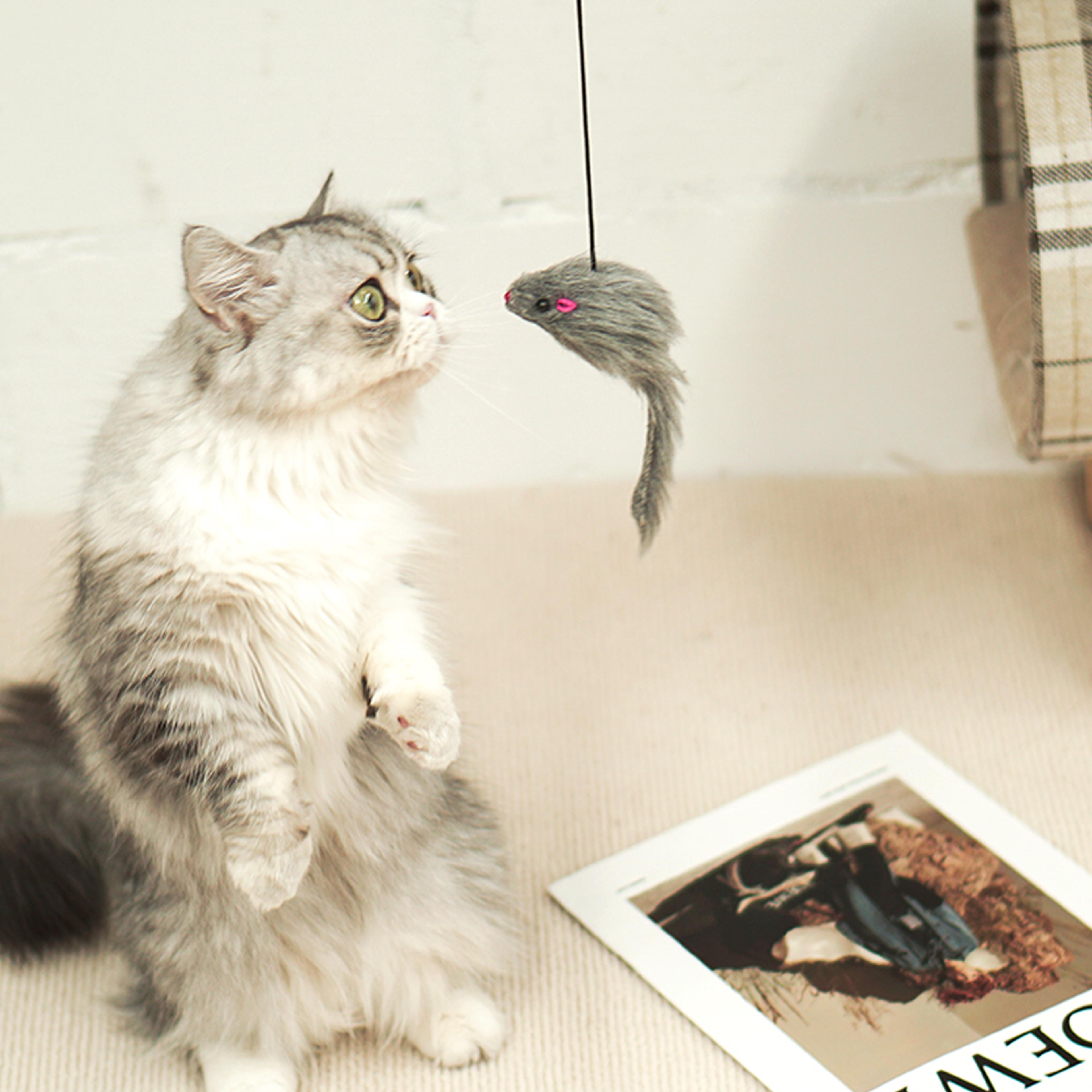 interactive hanging mouse cat toy