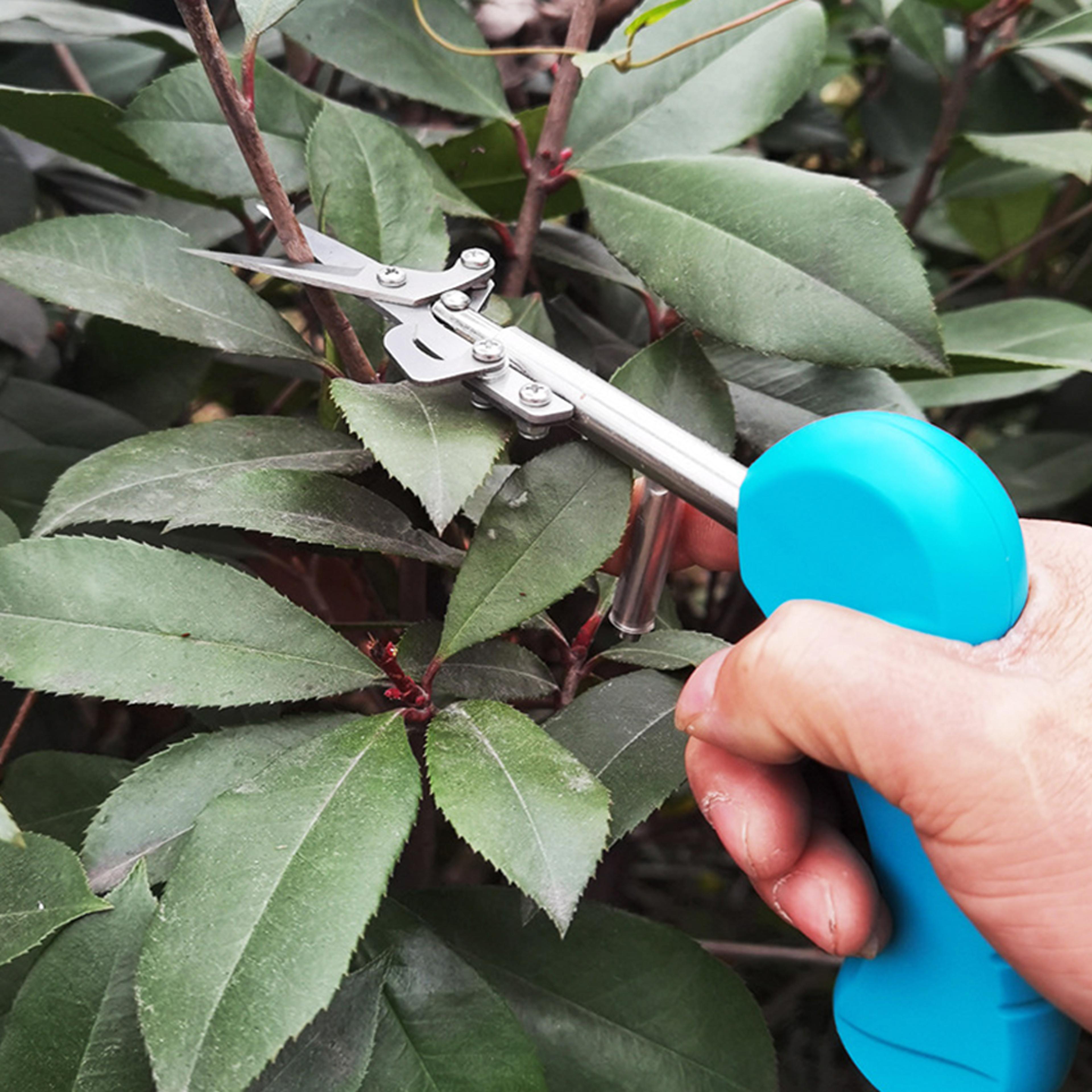 portablepointedgardeningscissor1.png