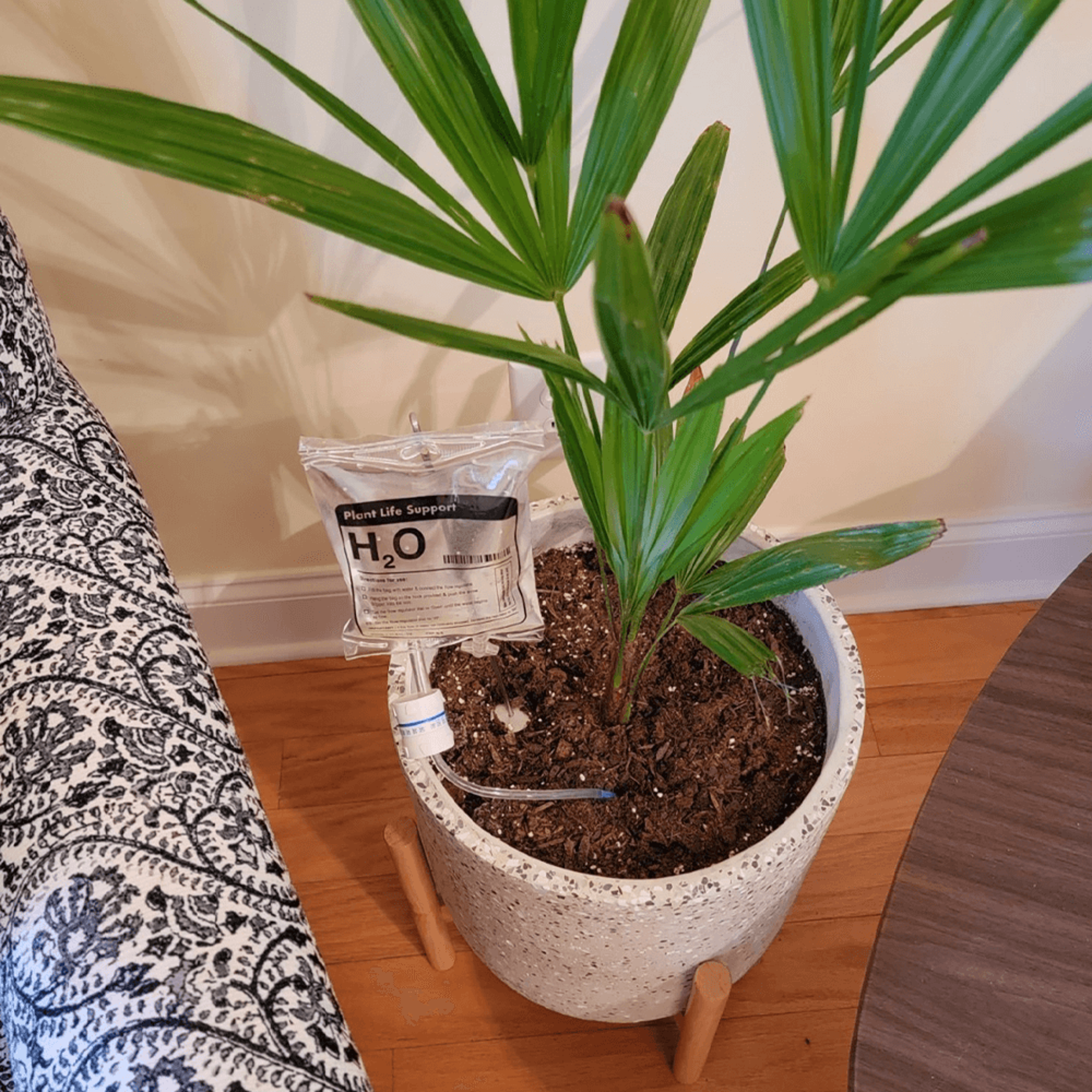 plantlifesupportdripautomaticwateringsystem5-2.png