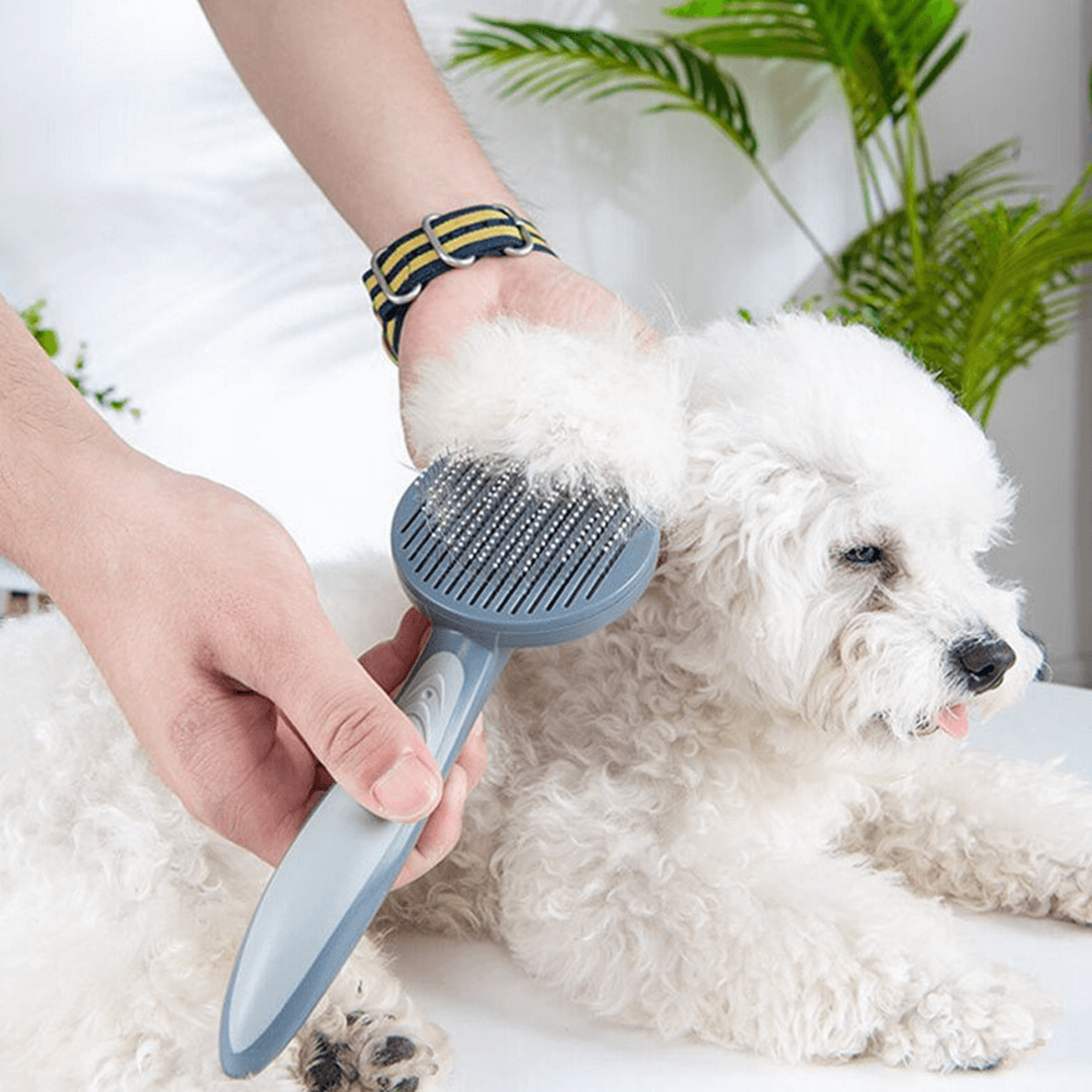 pet comb self cleaning brush professional dog and cat grooming brush