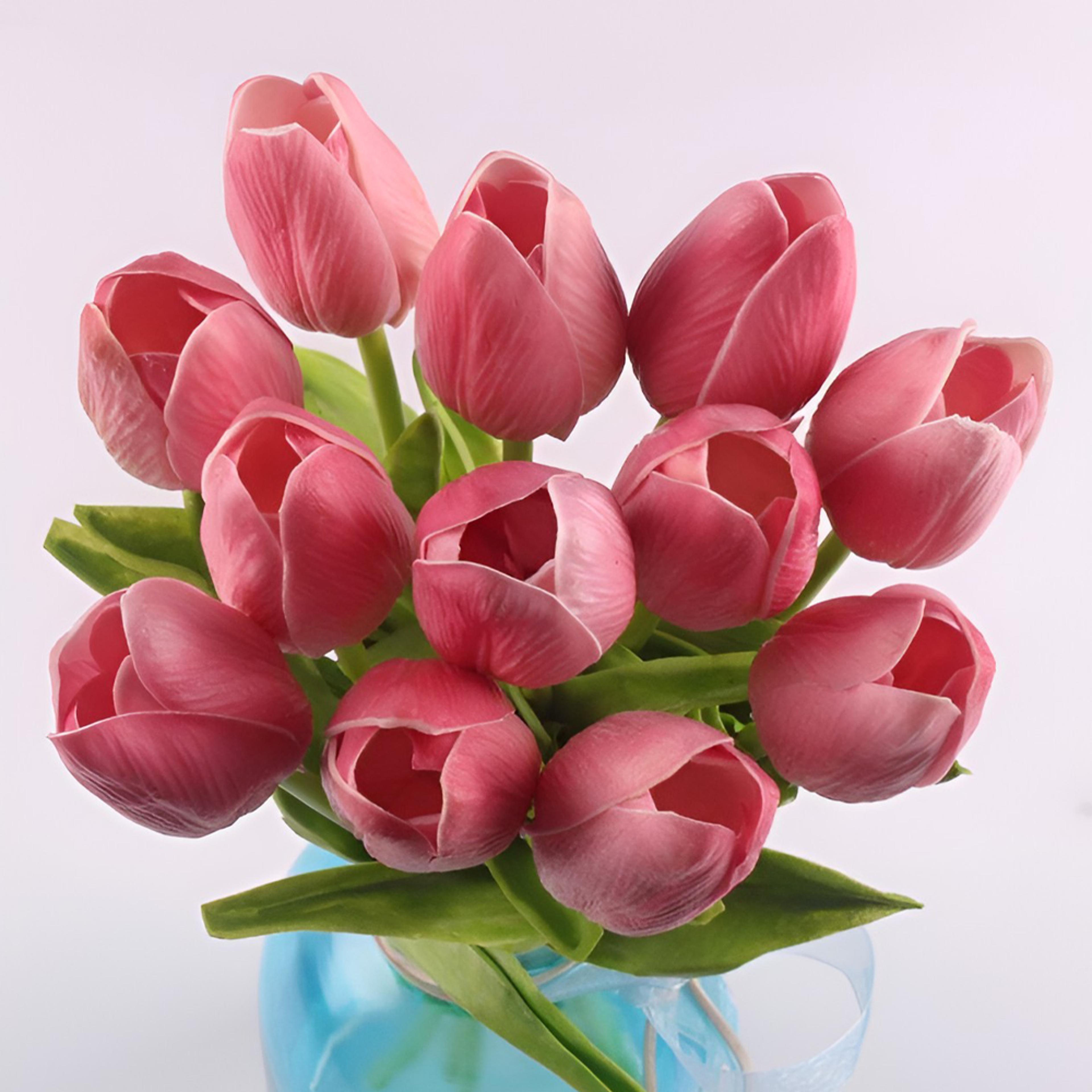 faketulipsblush.png